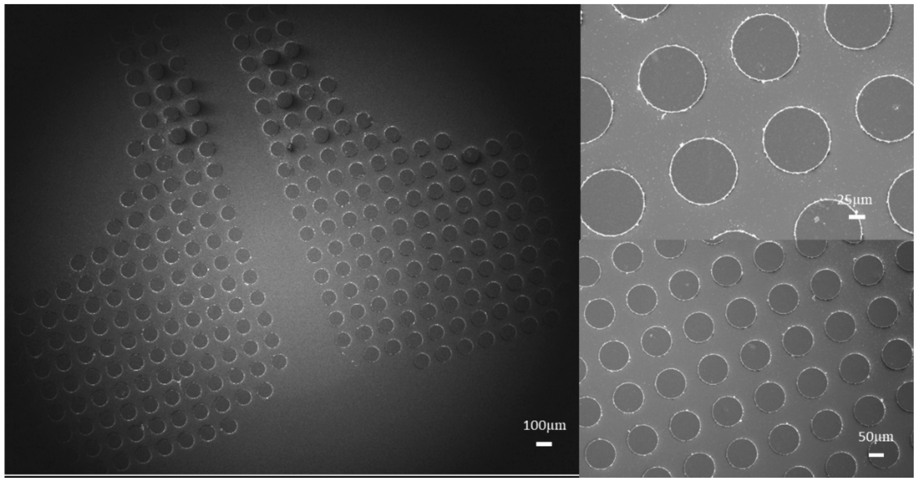 Micromachines 13 00595 g005