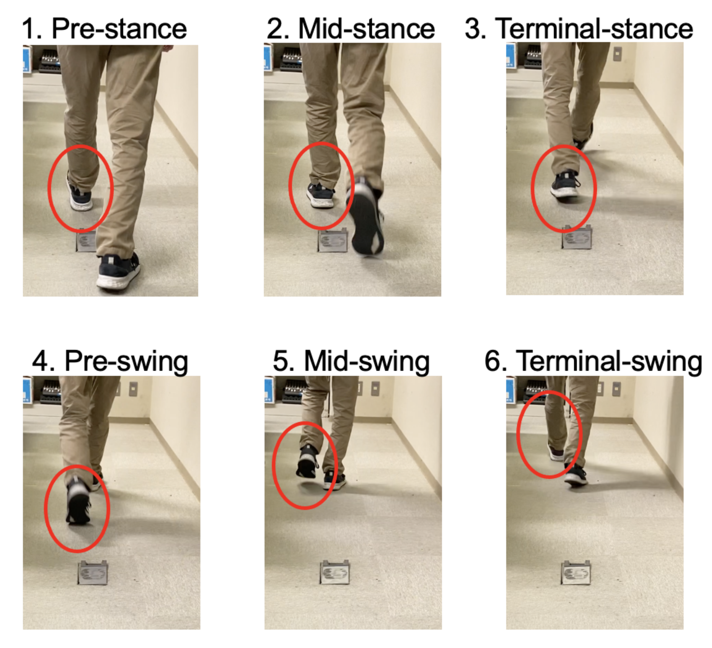 Micromachines 13 00610 g003