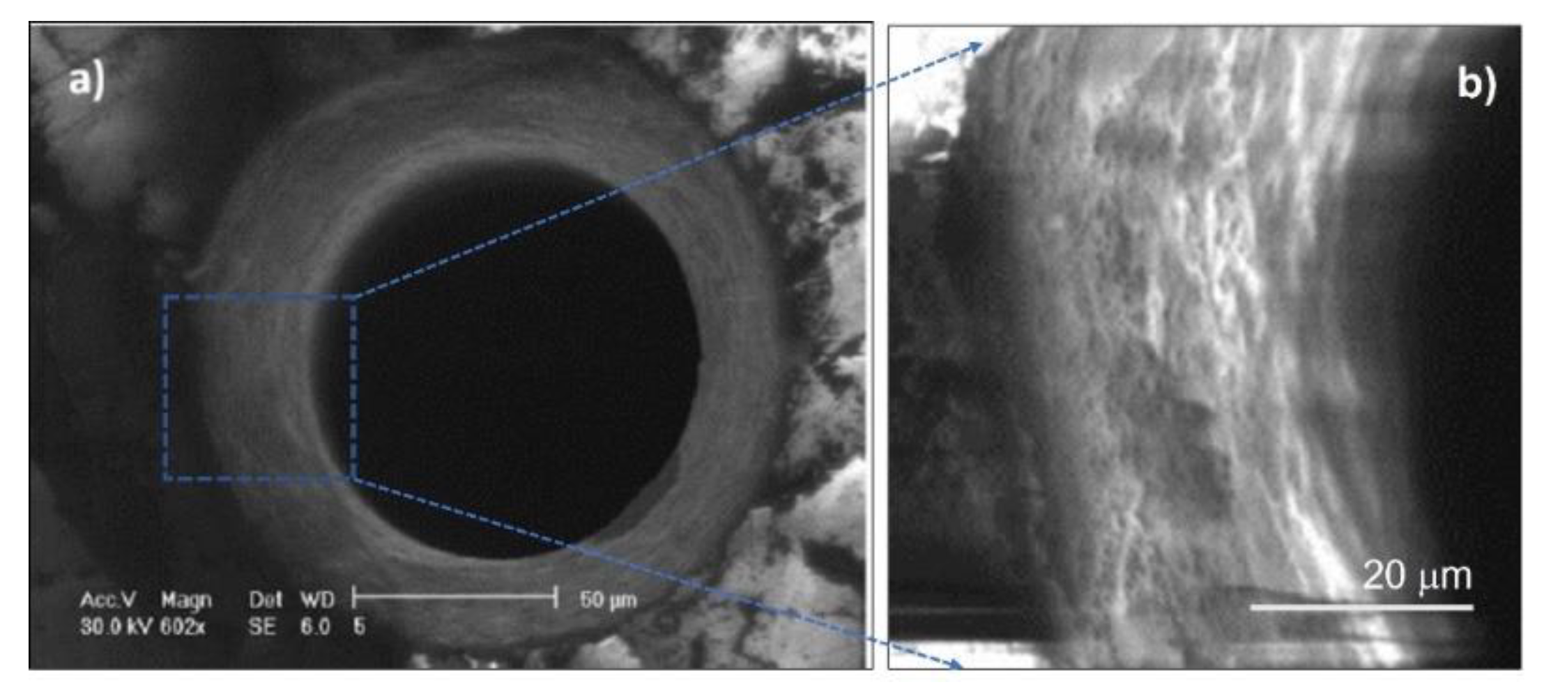 Micromachines 13 00624 g005