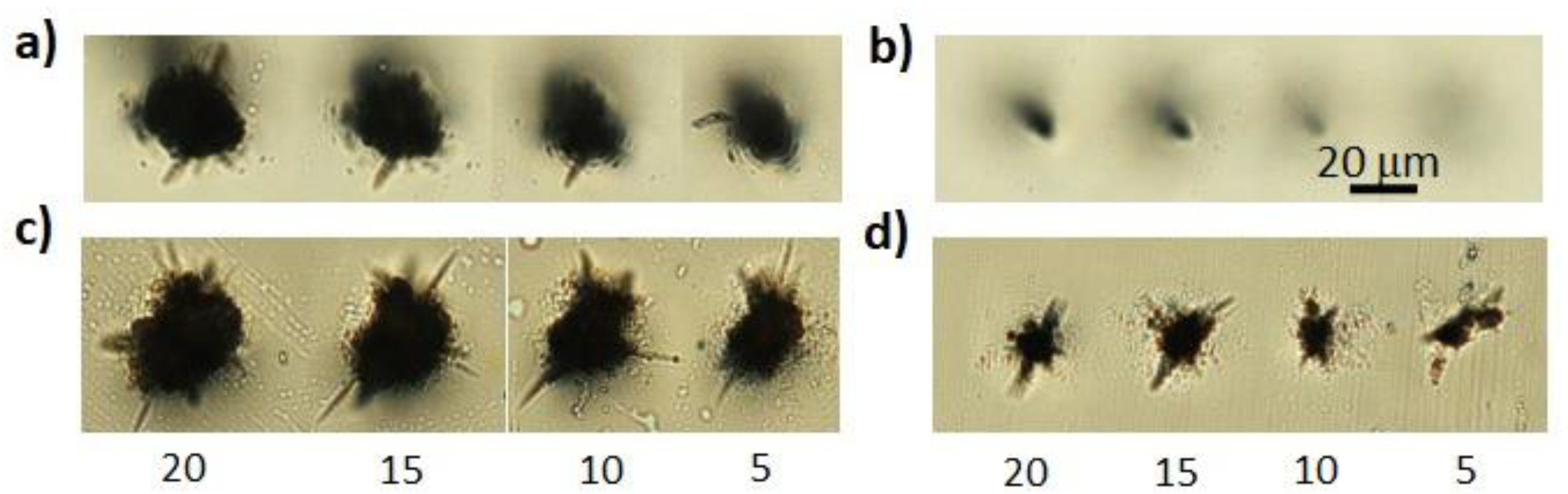 Micromachines 13 00624 g006