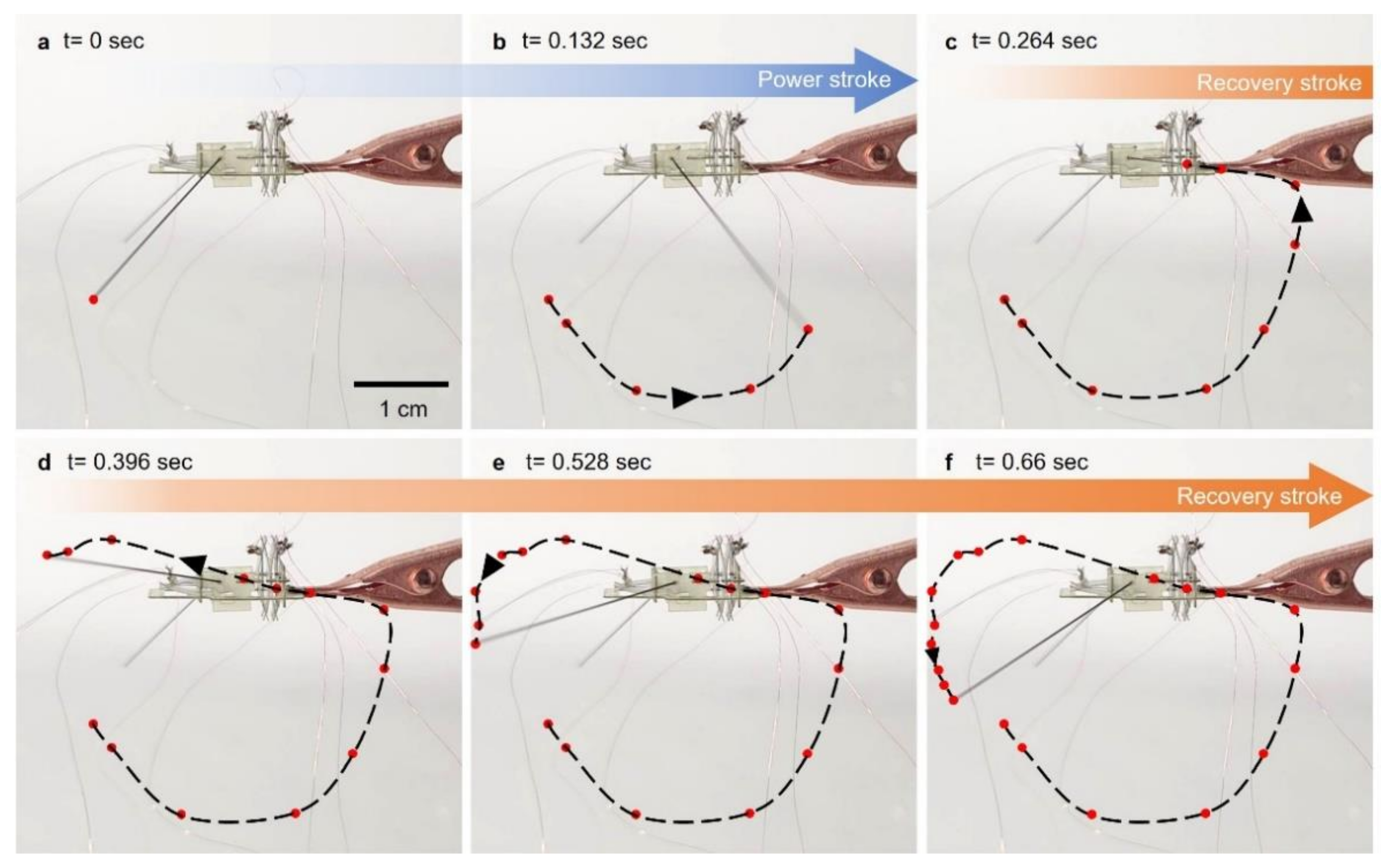 Micromachines 13 00627 g006