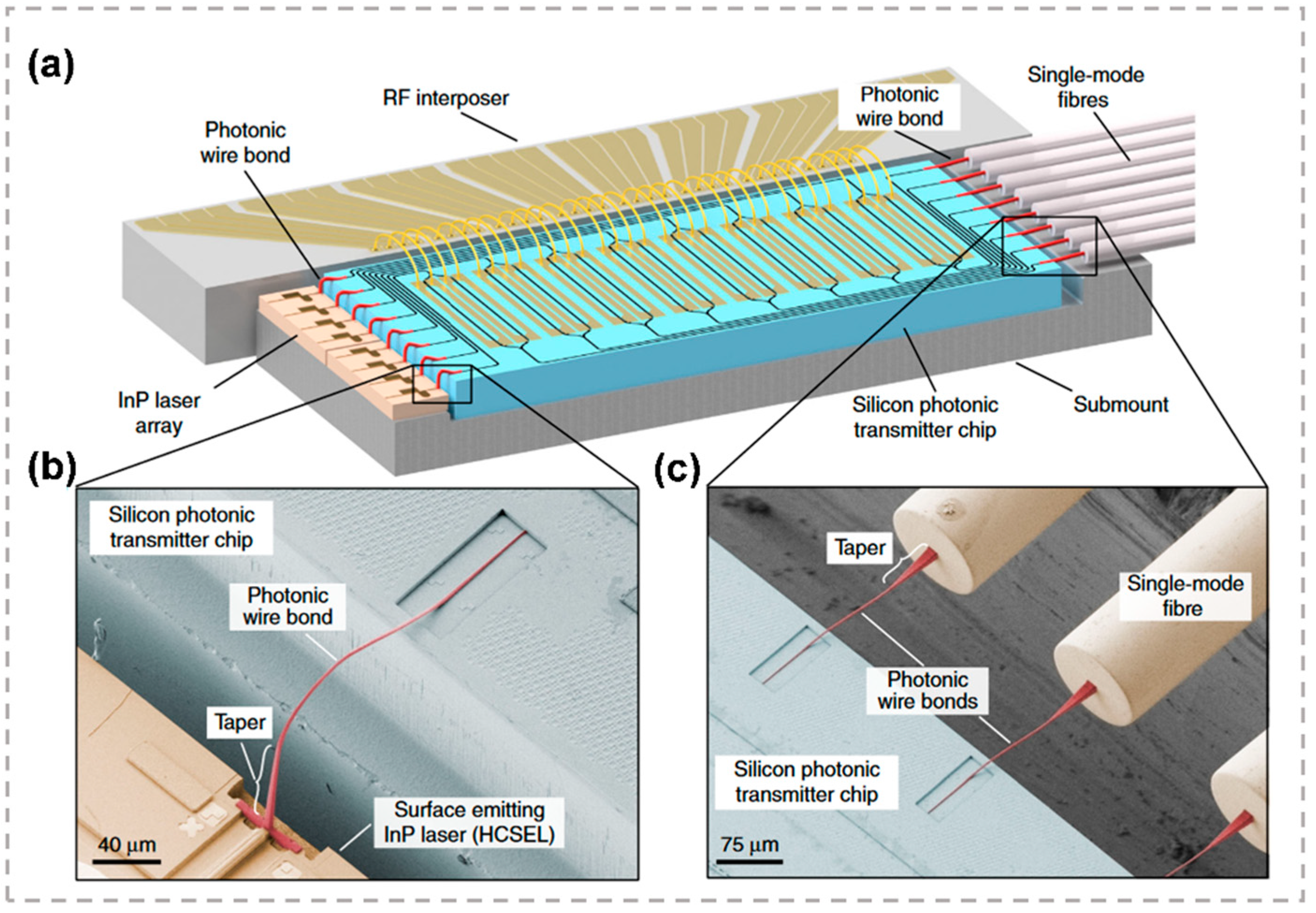 Micromachines 13 00630 g013