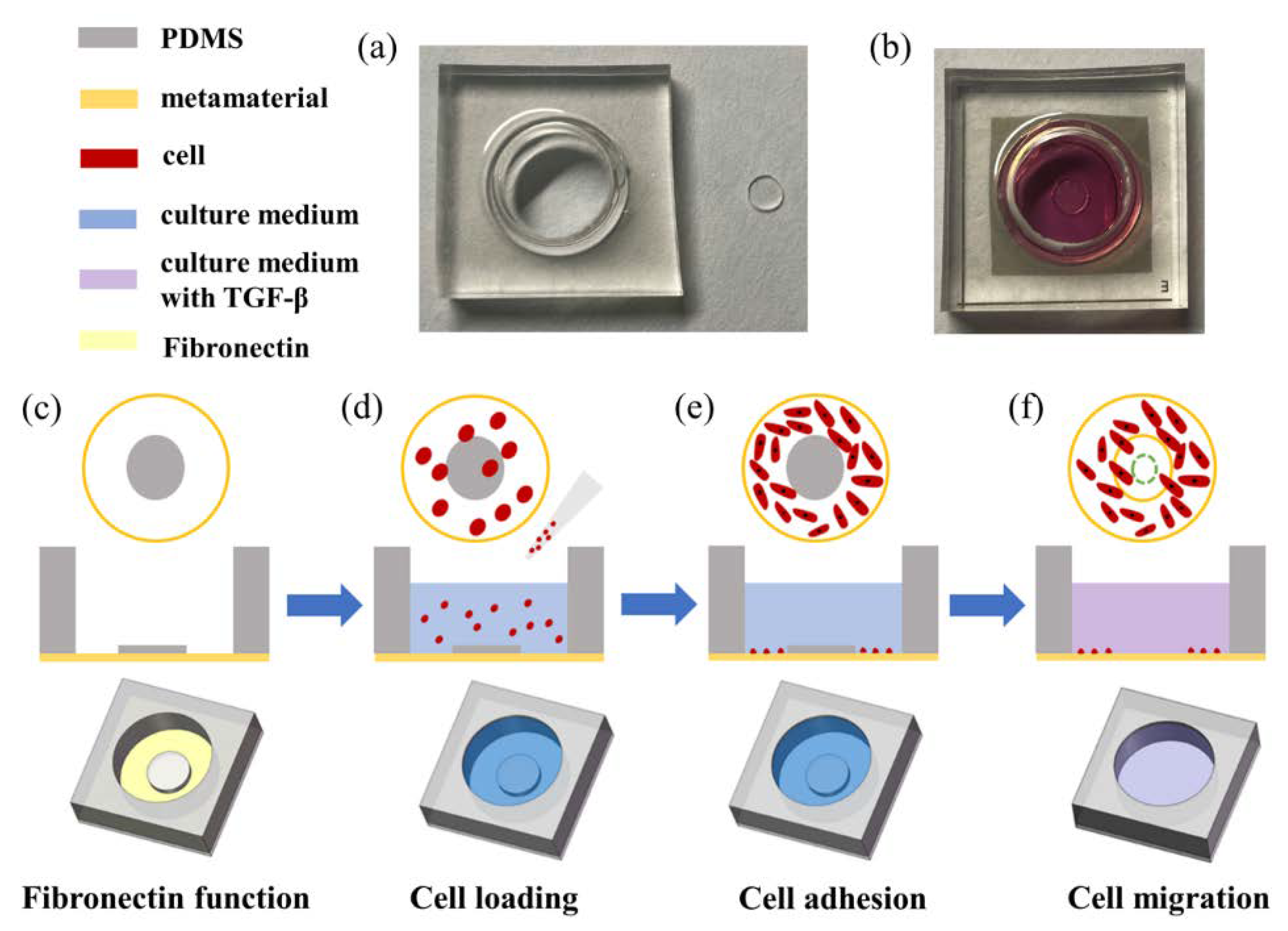 Micromachines 13 00631 g002