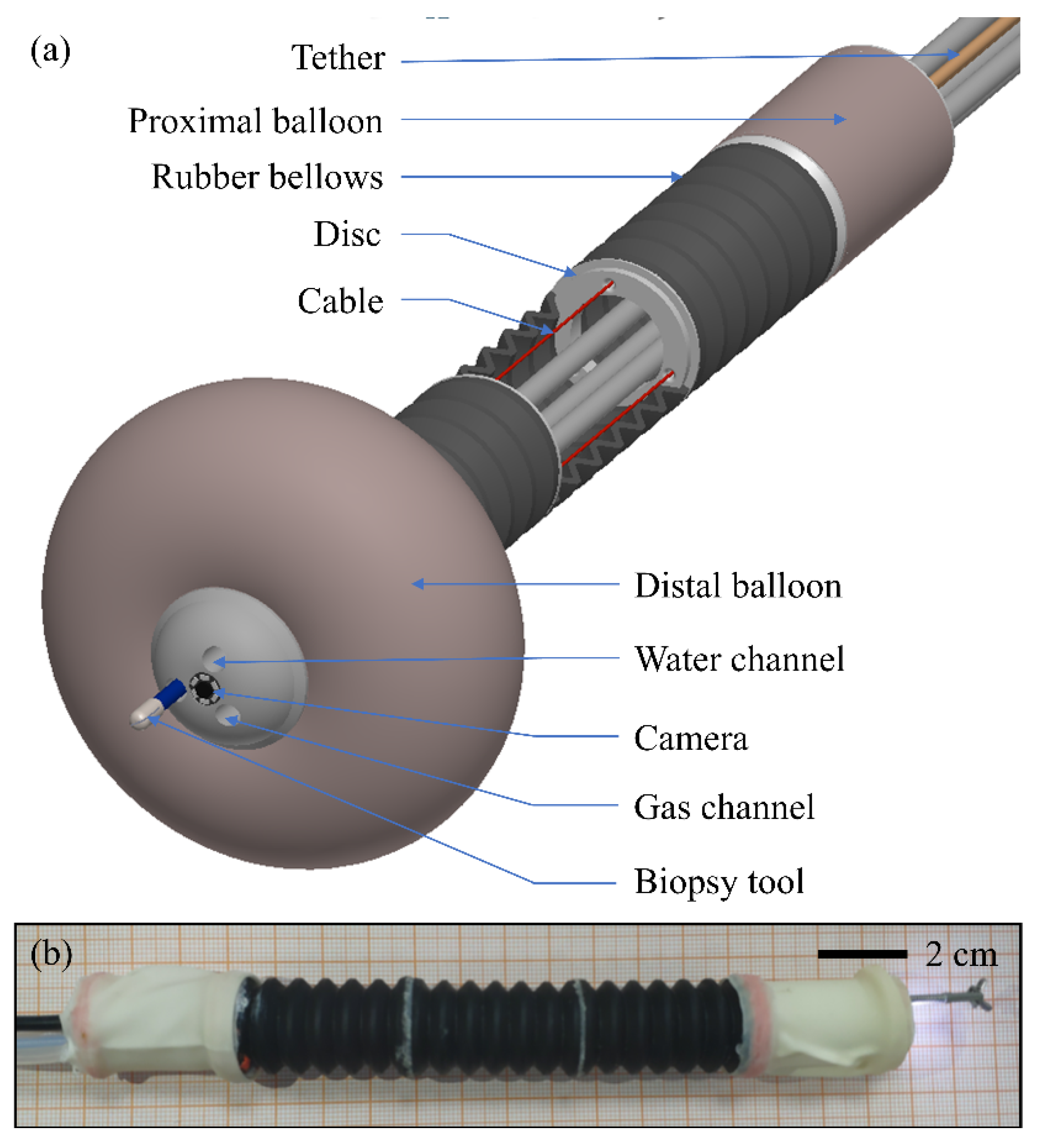 Micromachines 13 00635 g001