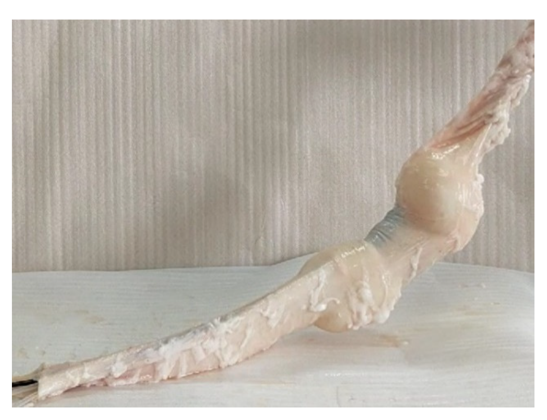 Micromachines 13 00635 g008