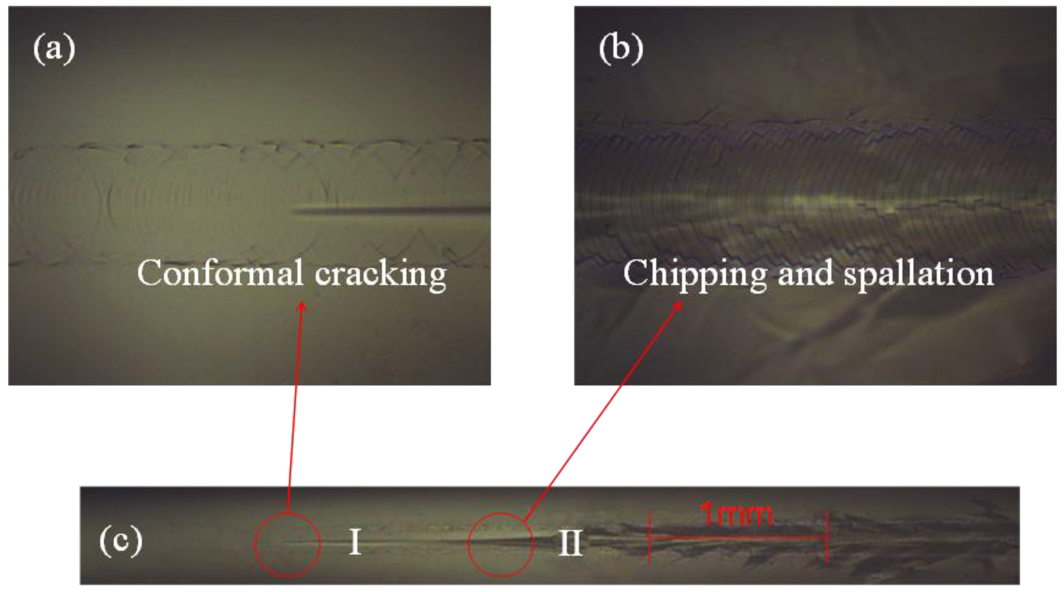 Micromachines 13 00639 g011
