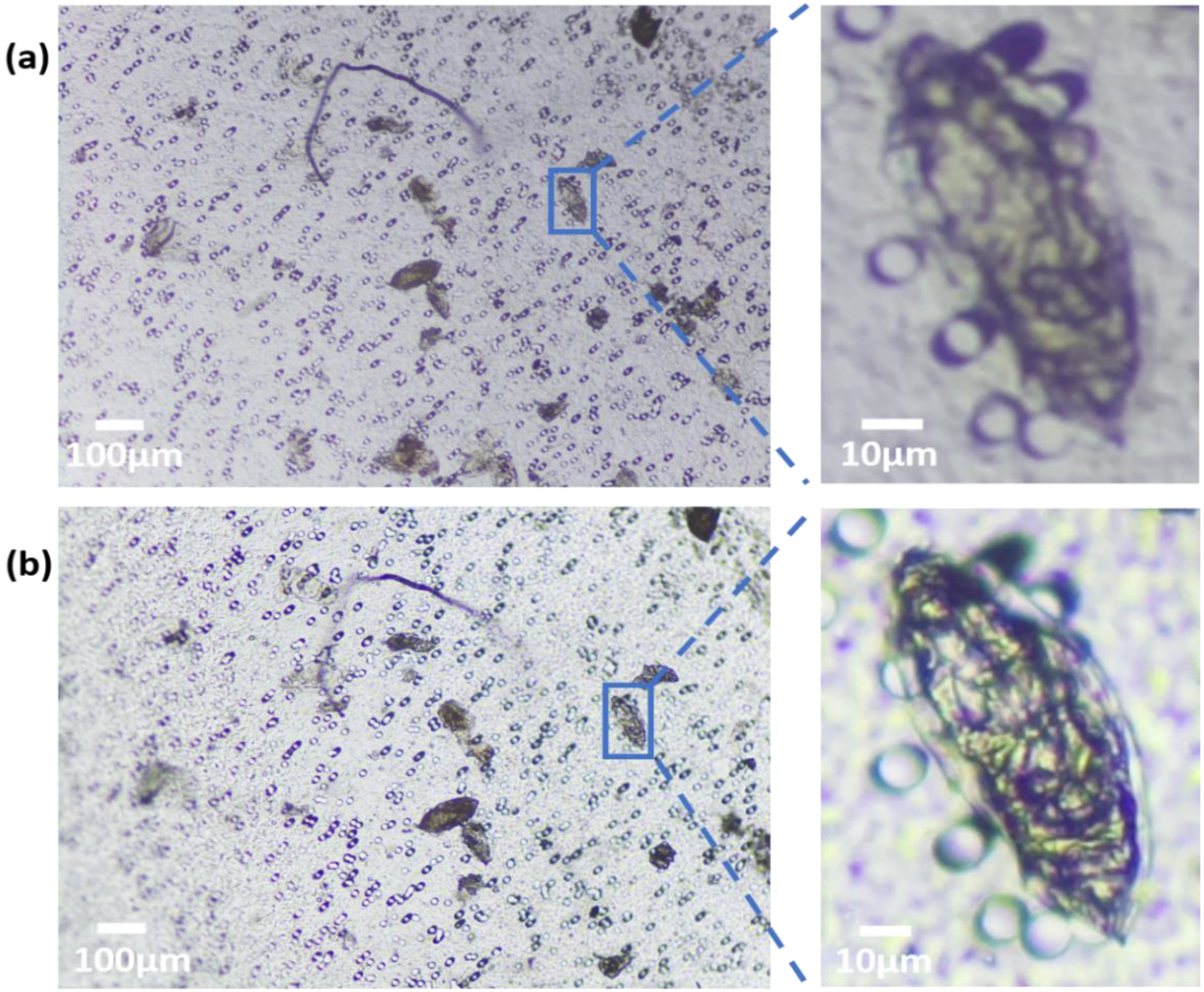 Micromachines 13 00643 g005