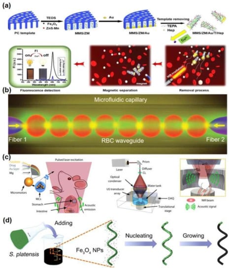 Micromachines 13 00648 g003 550