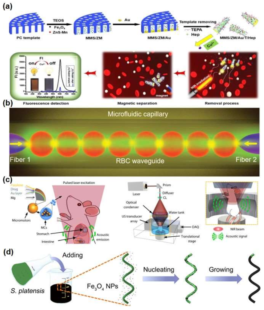 Micromachines 13 00648 g003
