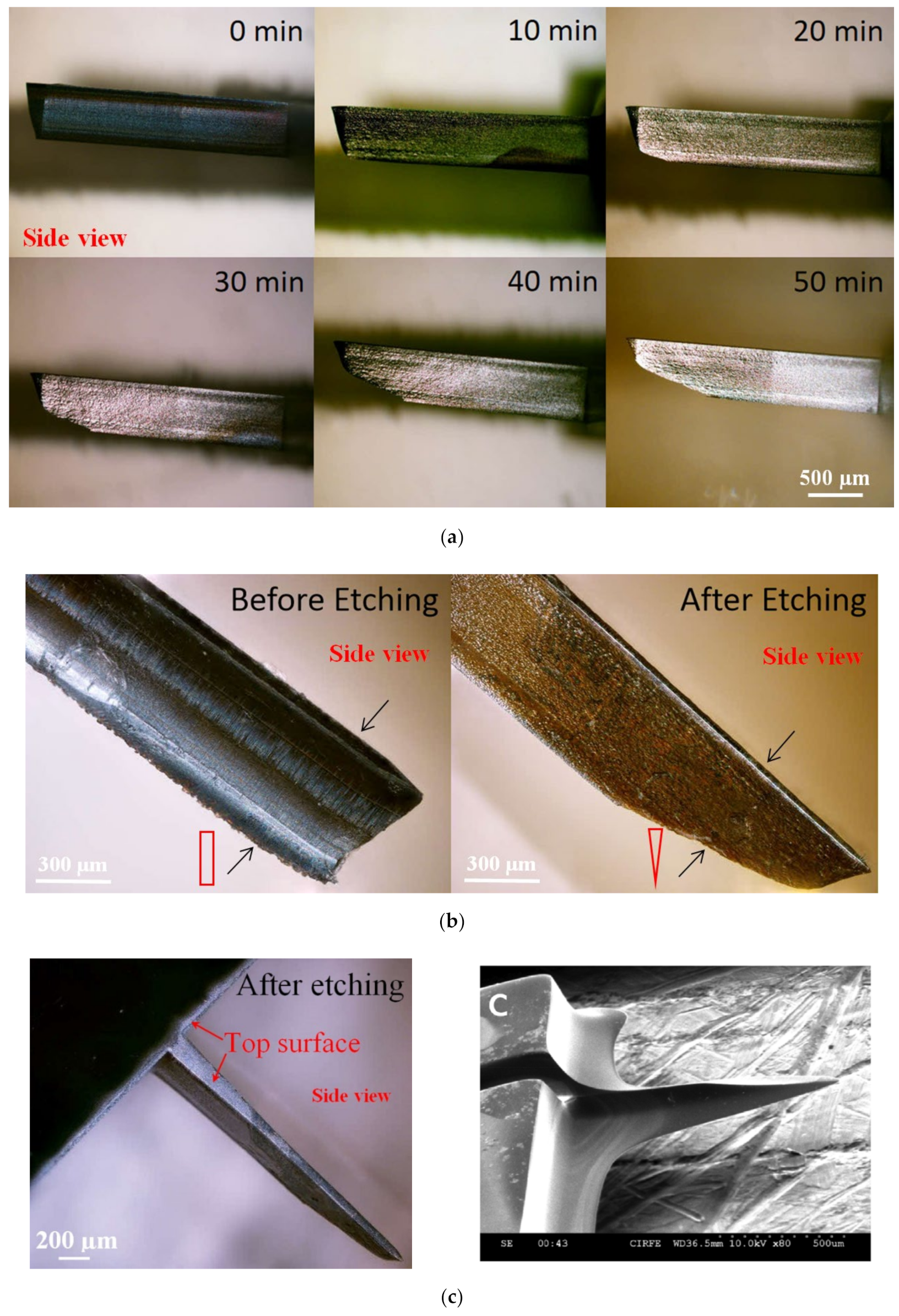 Micromachines 13 00657 g003