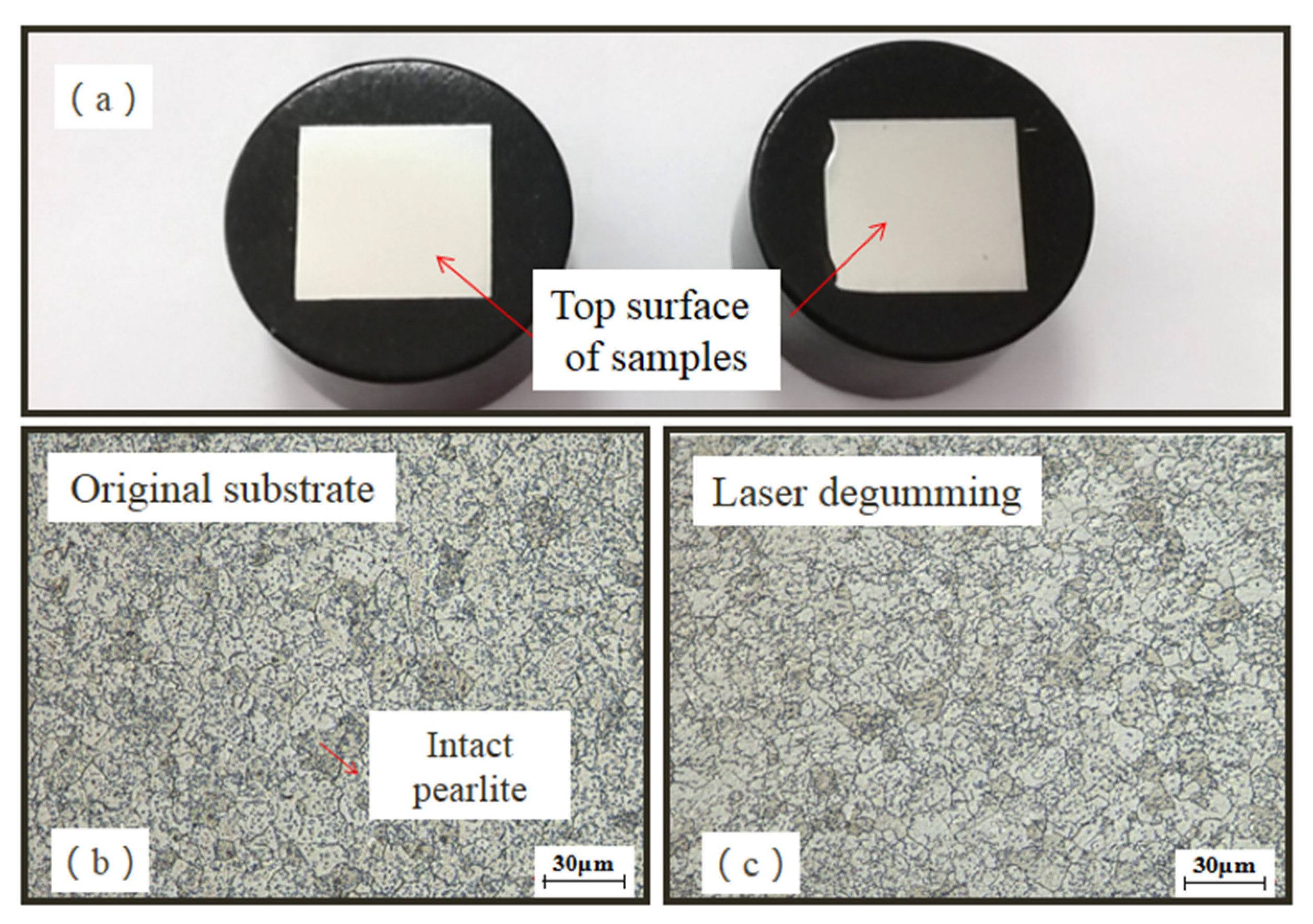 Micromachines 13 00666 g009