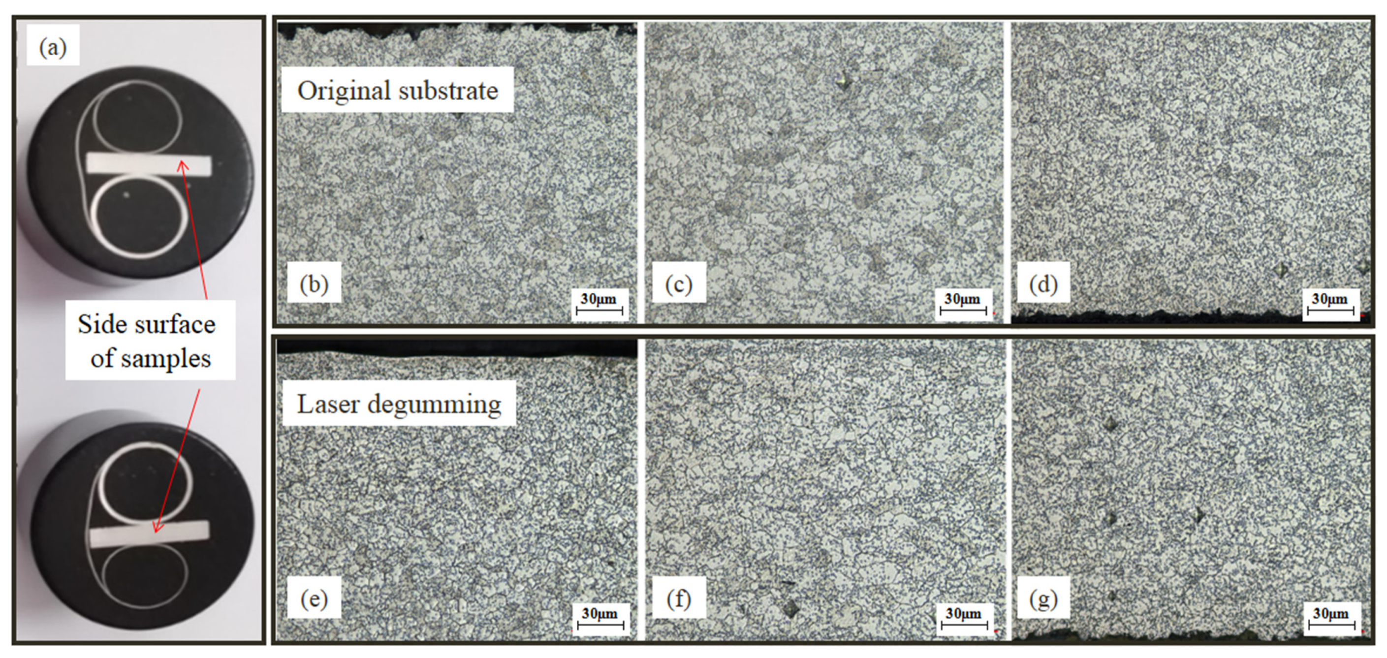 Micromachines 13 00666 g010