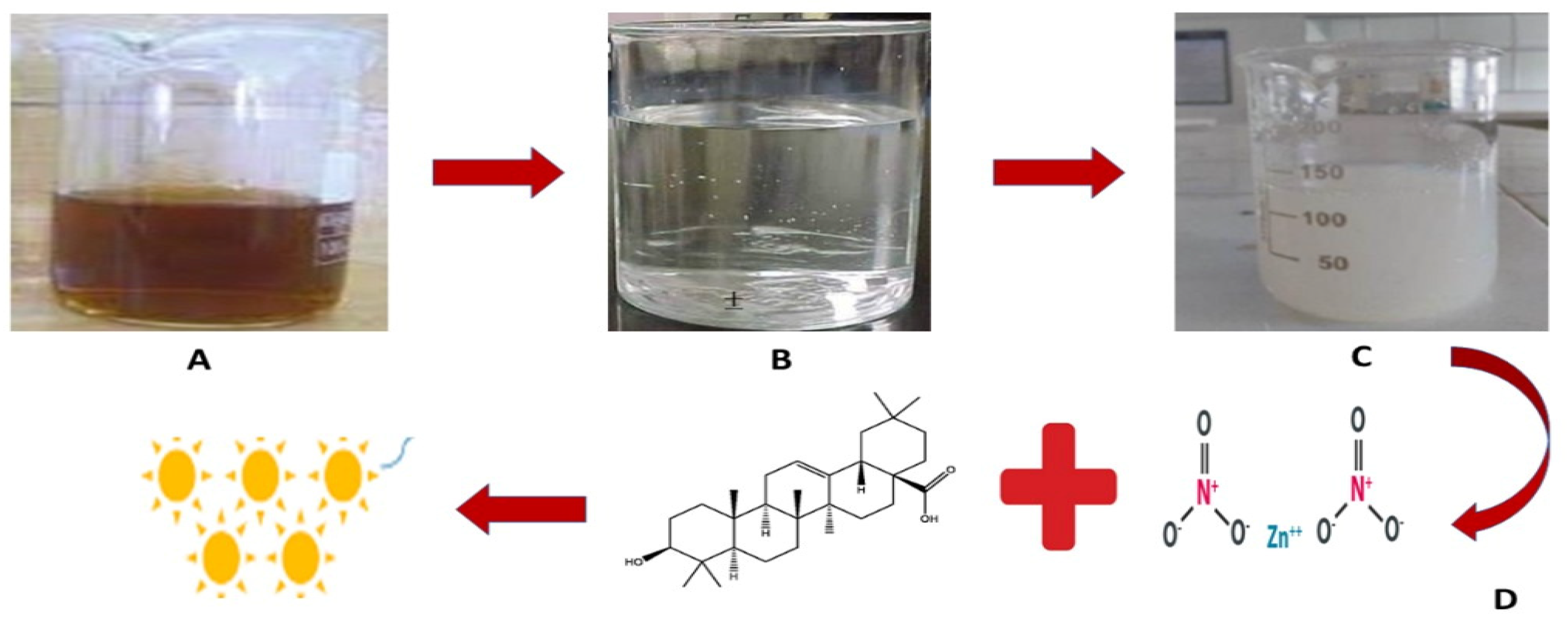 Micromachines 13 00668 g001