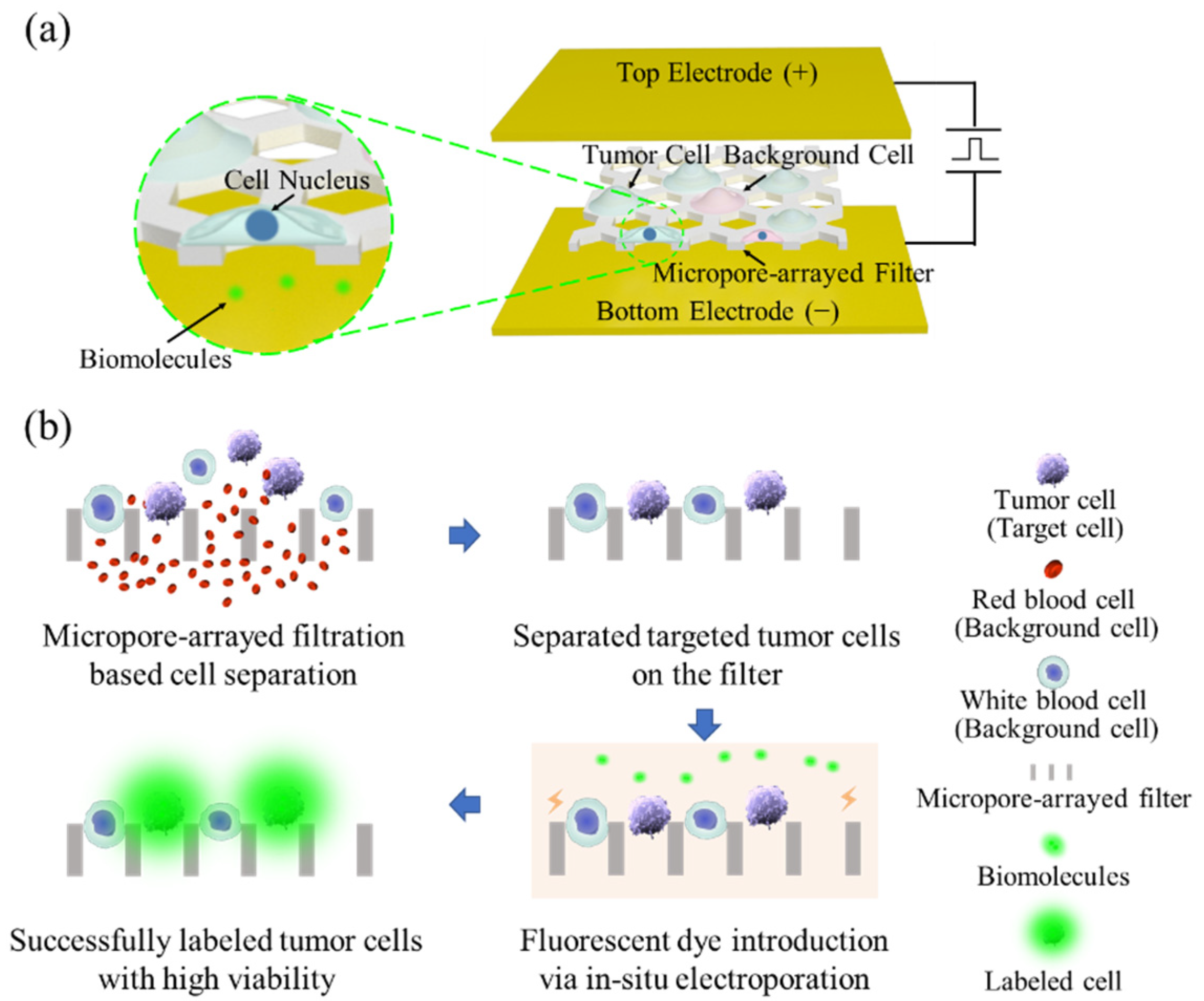 Micromachines 13 00672 g001