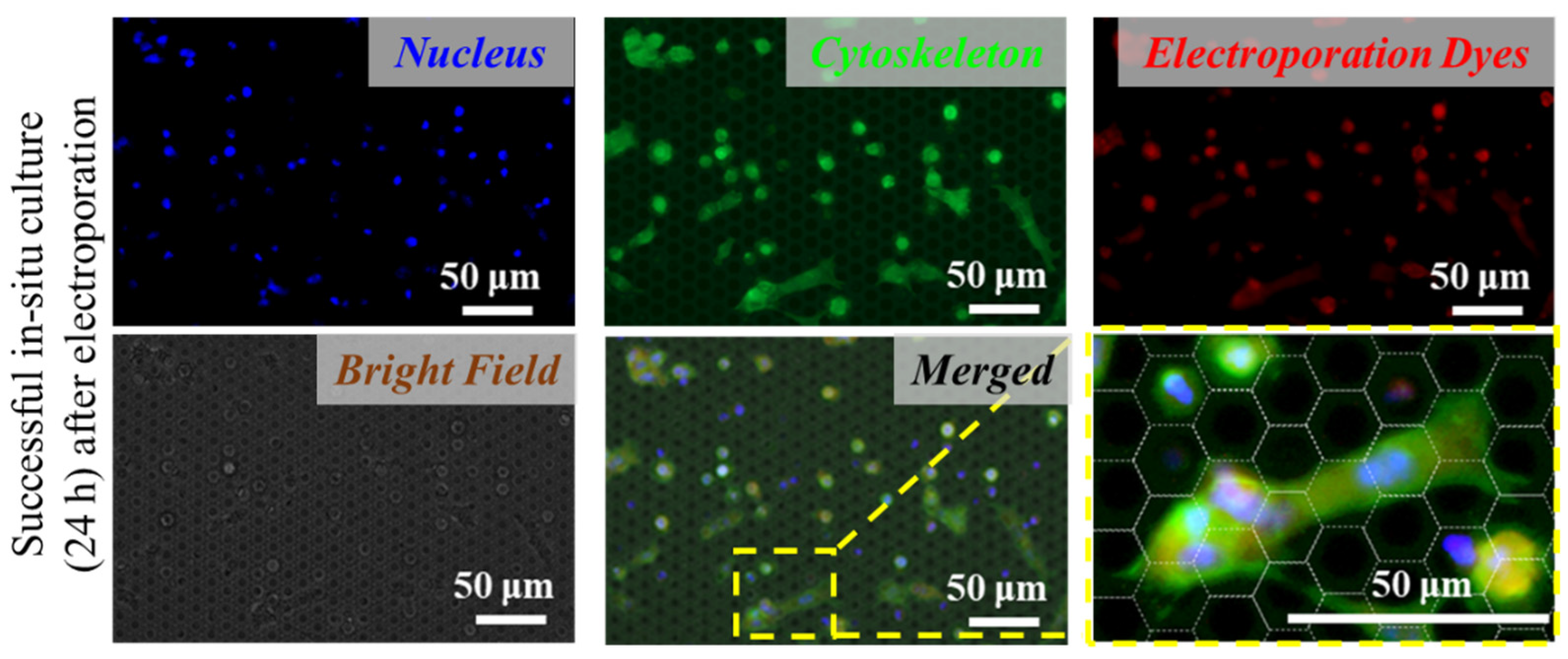 Micromachines 13 00672 g003