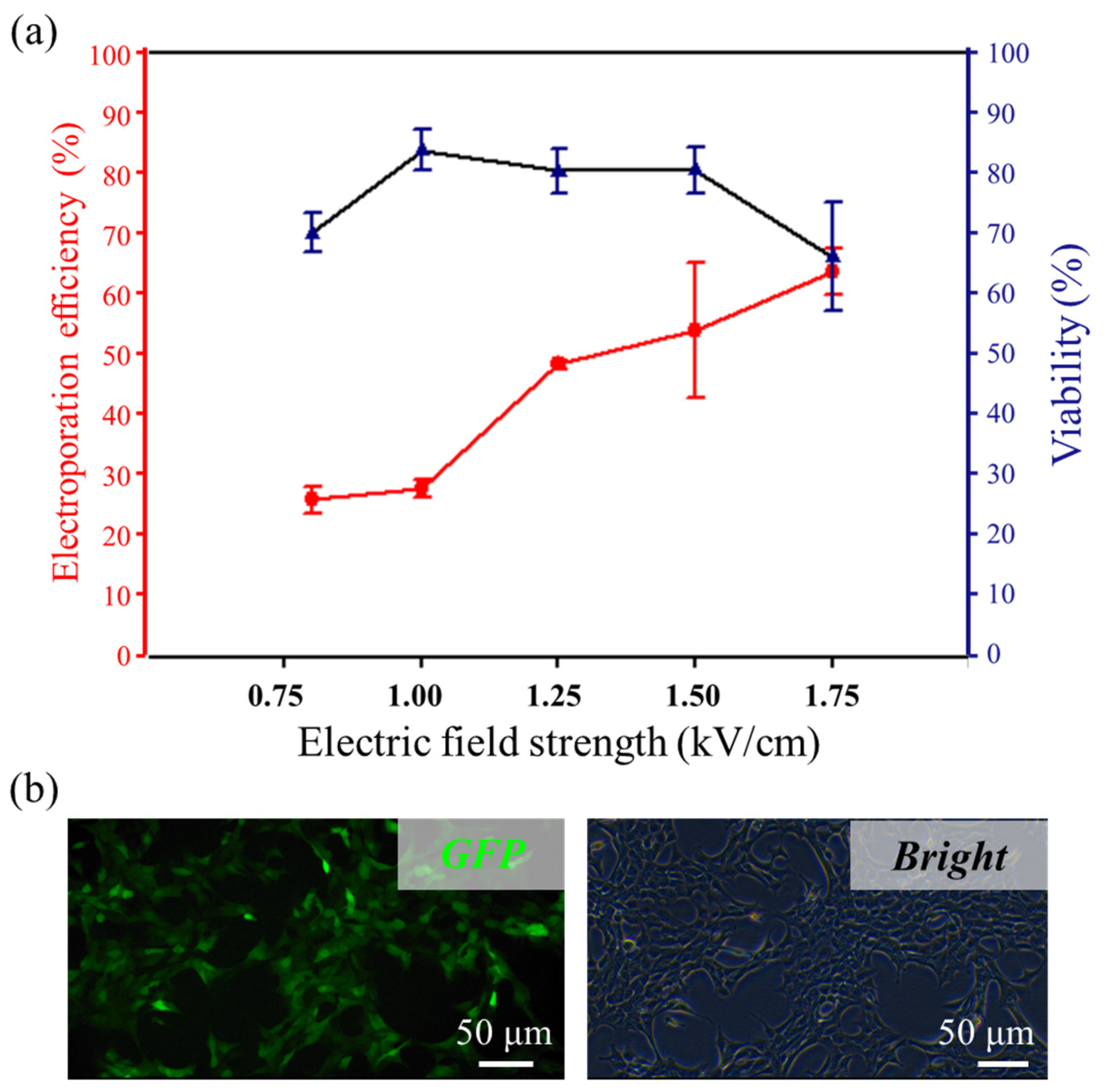 Micromachines 13 00672 g004