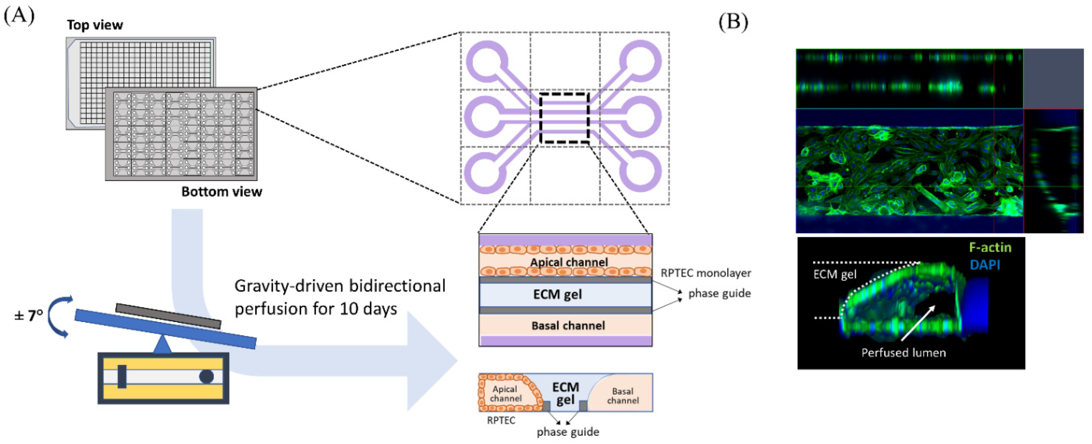 Micromachines 13 00688 g001