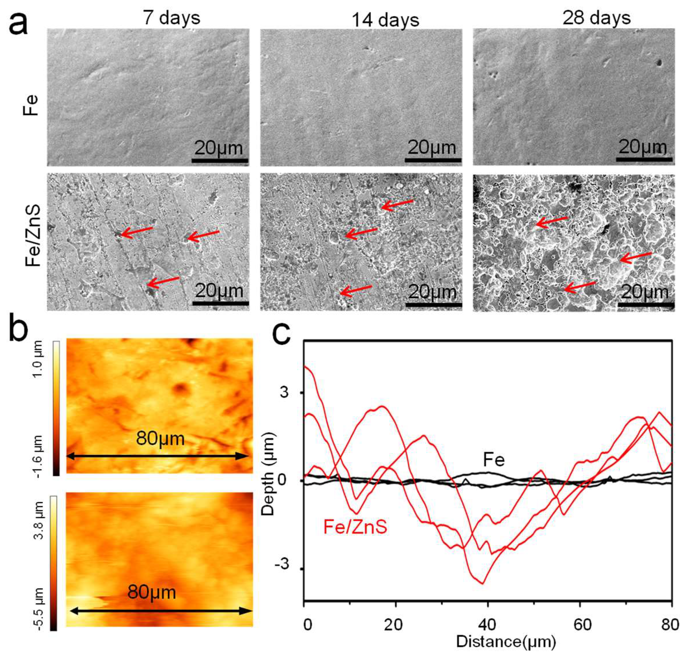 Micromachines 13 00712 g003