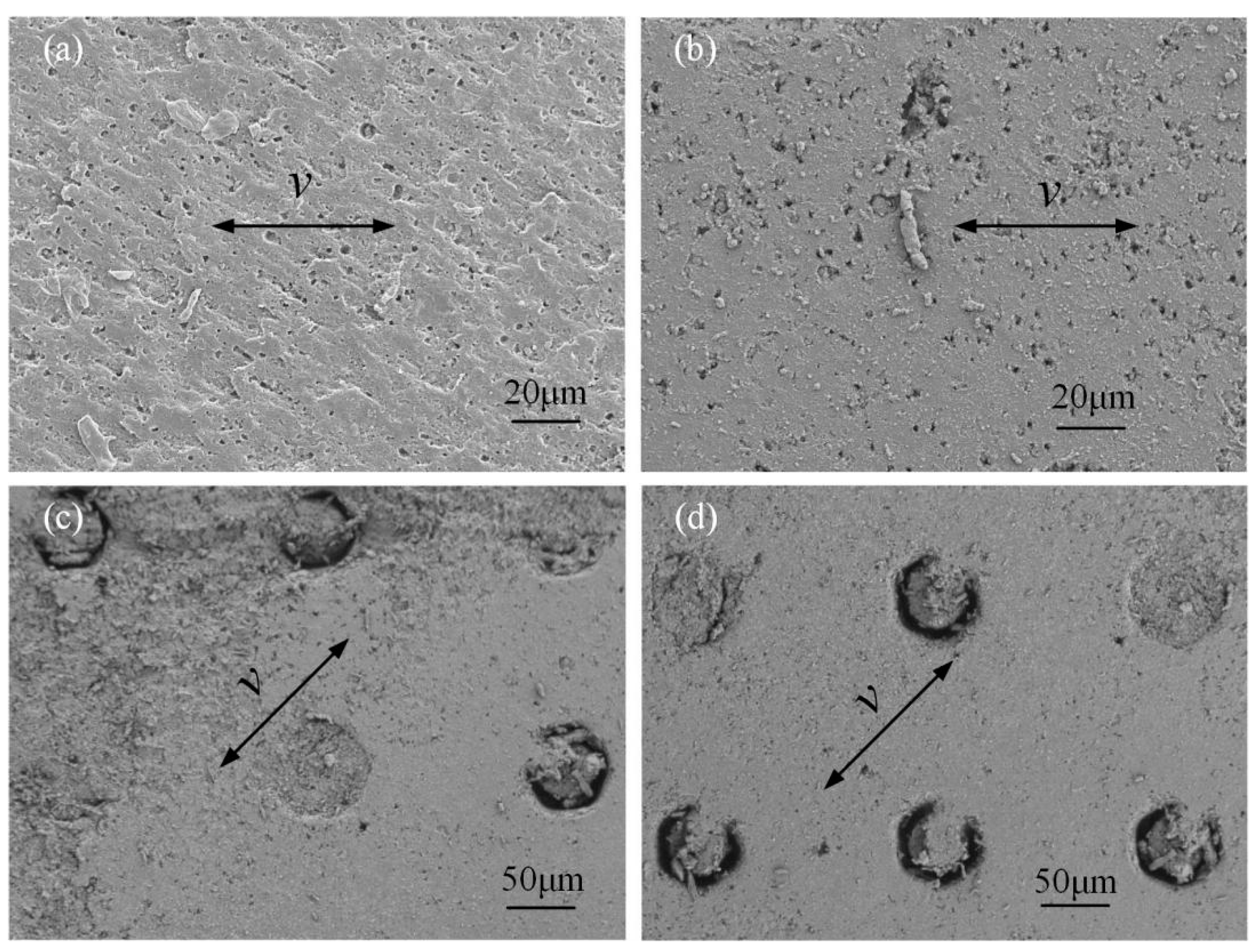 Micromachines 13 00722 g010