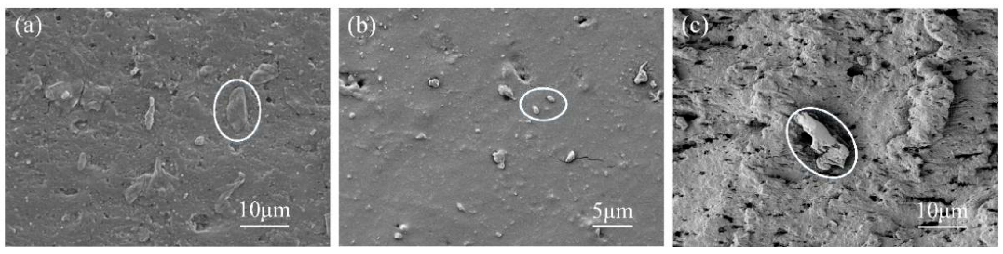 Micromachines 13 00722 g011