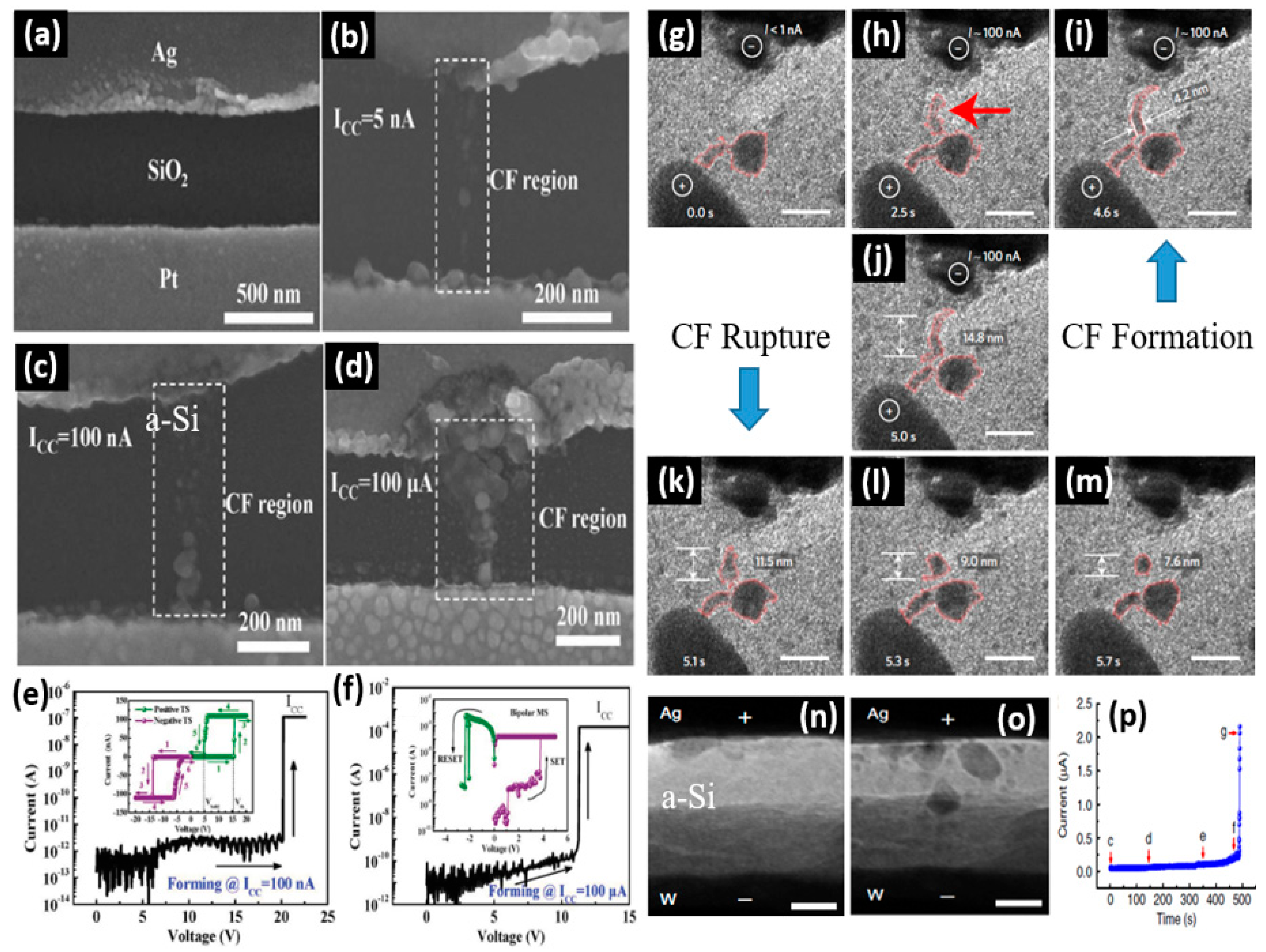 Micromachines 13 00725 g007
