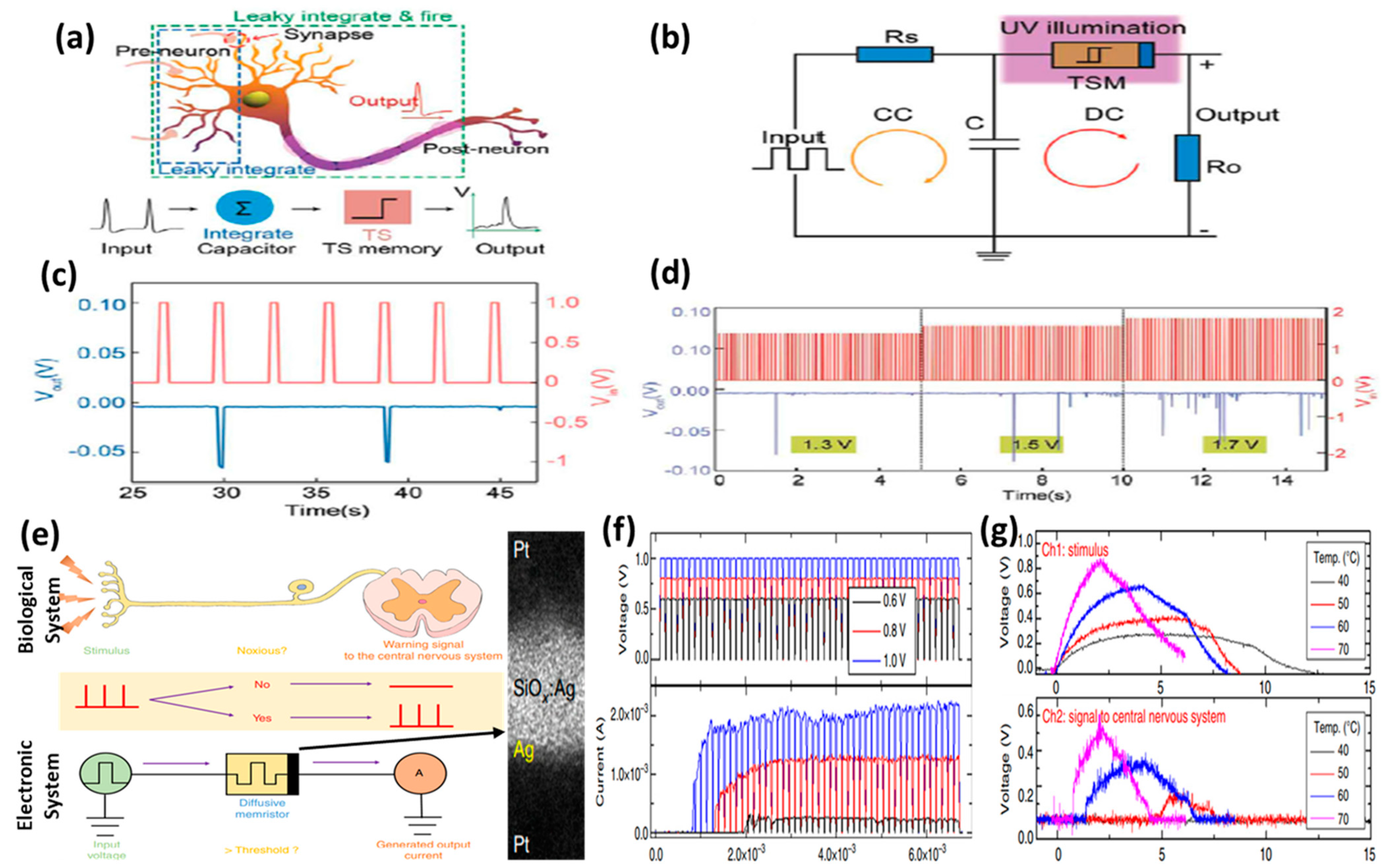 Micromachines 13 00725 g013