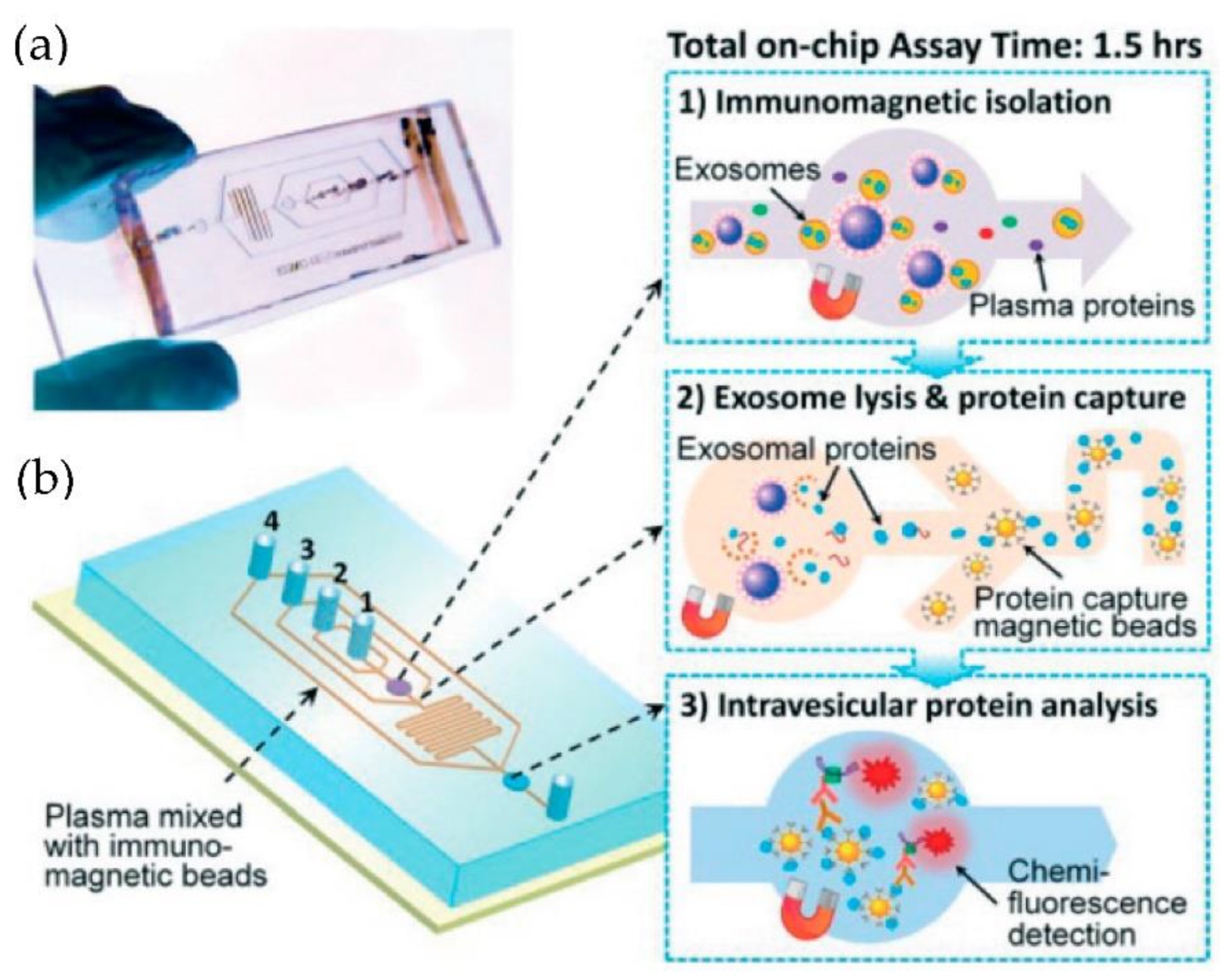Micromachines 13 00730 g010