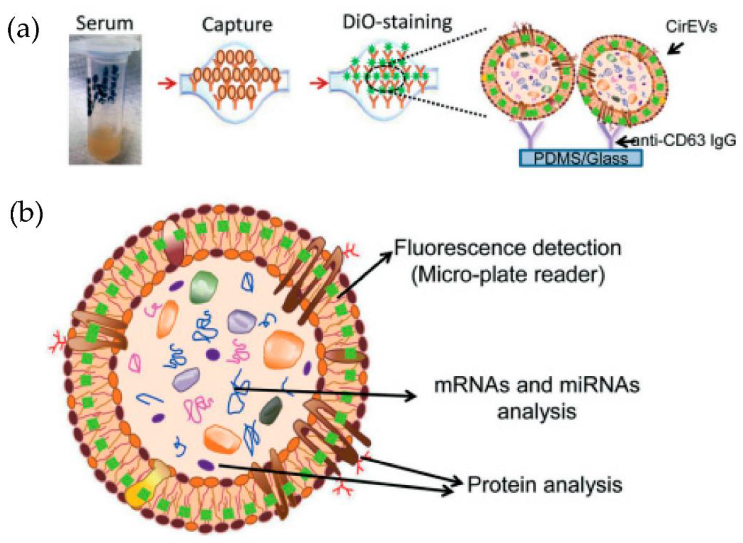 Micromachines 13 00730 g011