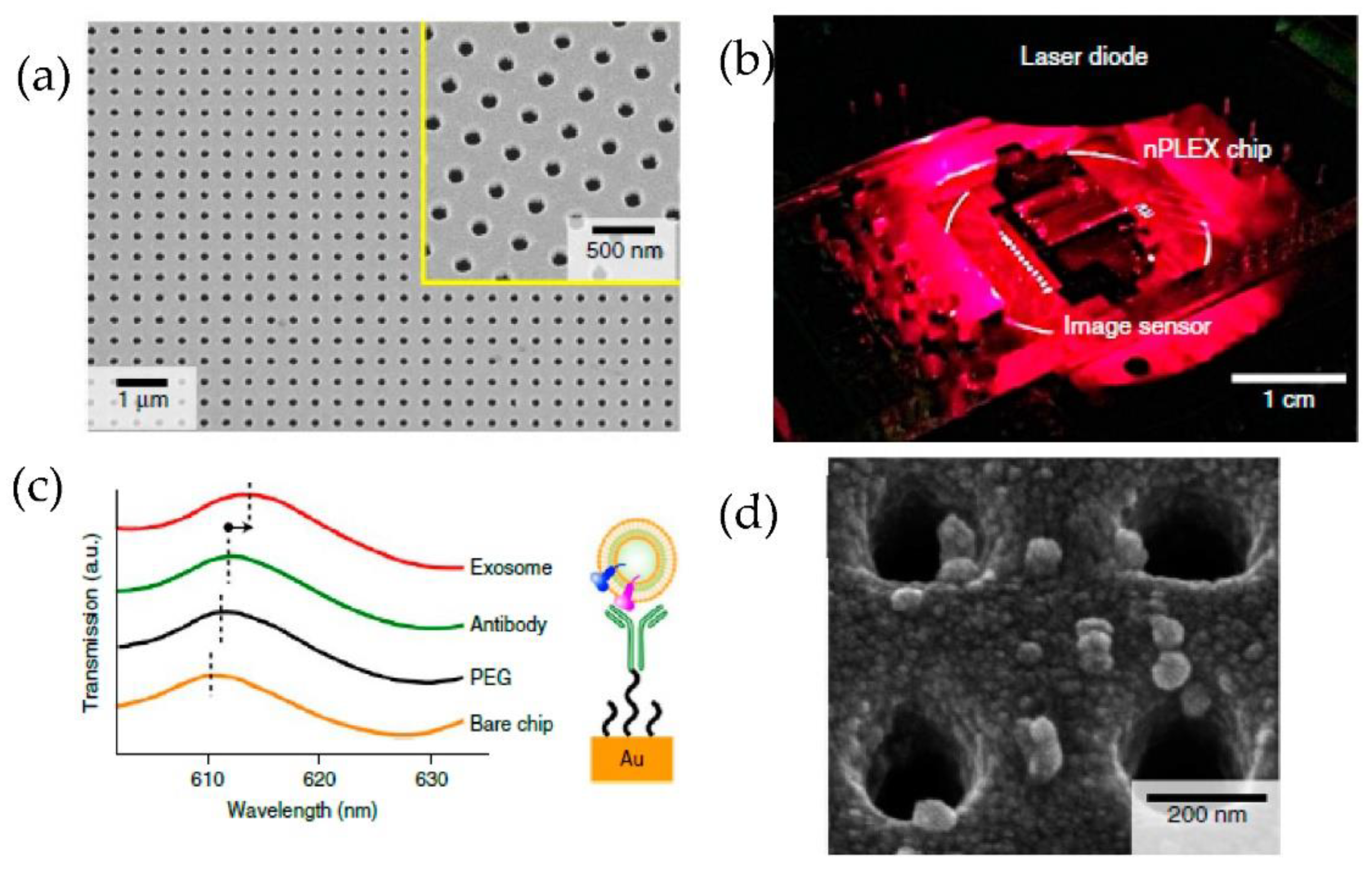 Micromachines 13 00730 g017