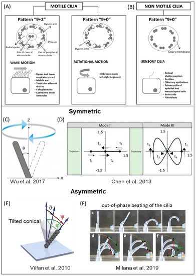 Micromachines 13 00735 g003