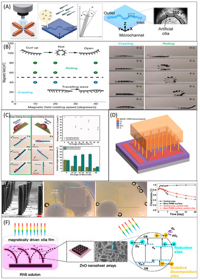 Micromachines 13 00735 g006