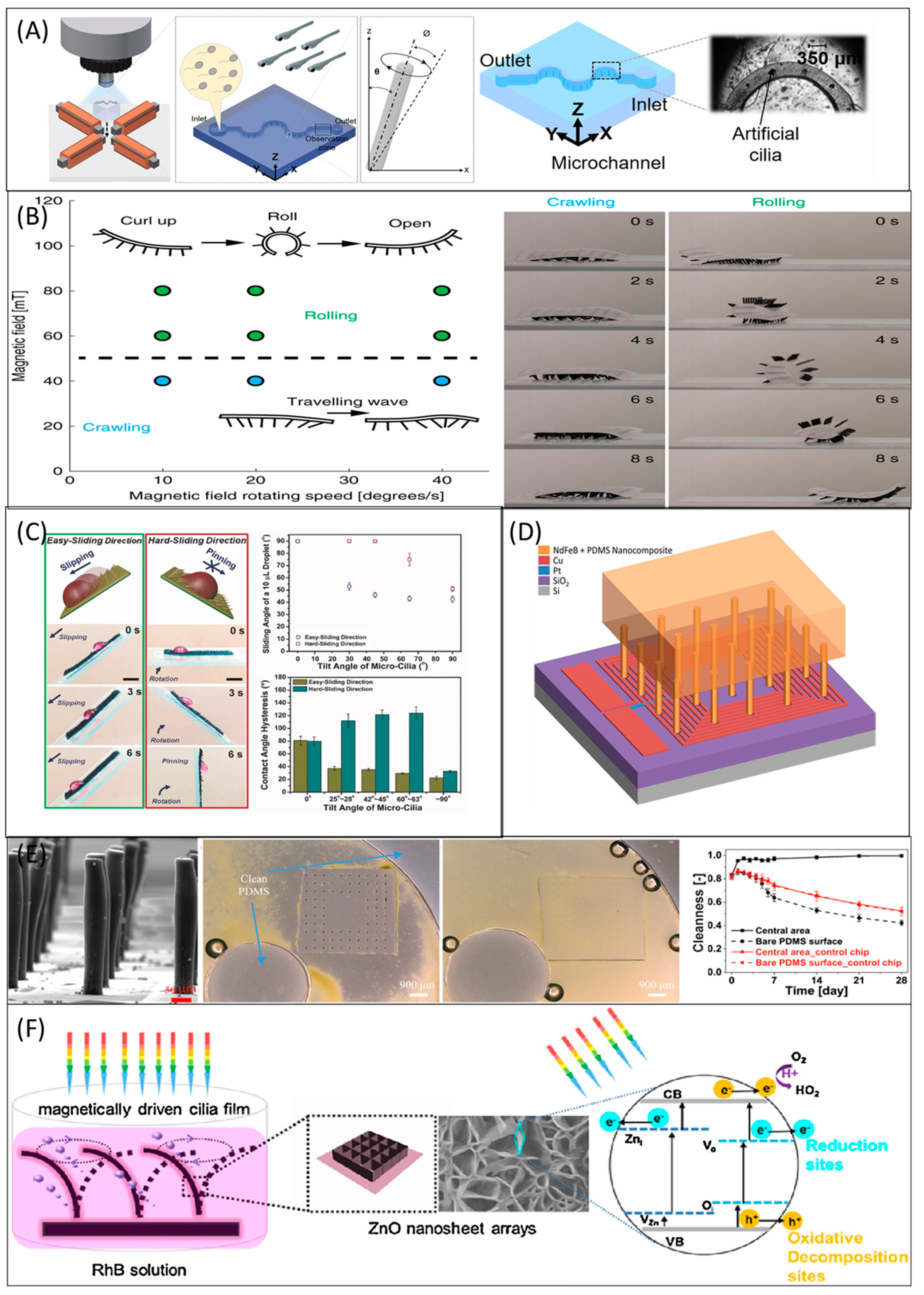 Micromachines 13 00735 g006