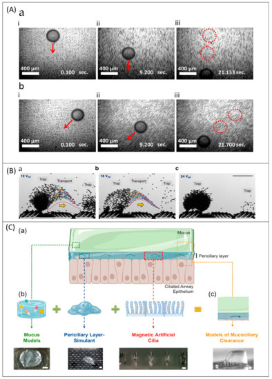 Micromachines 13 00735 g007