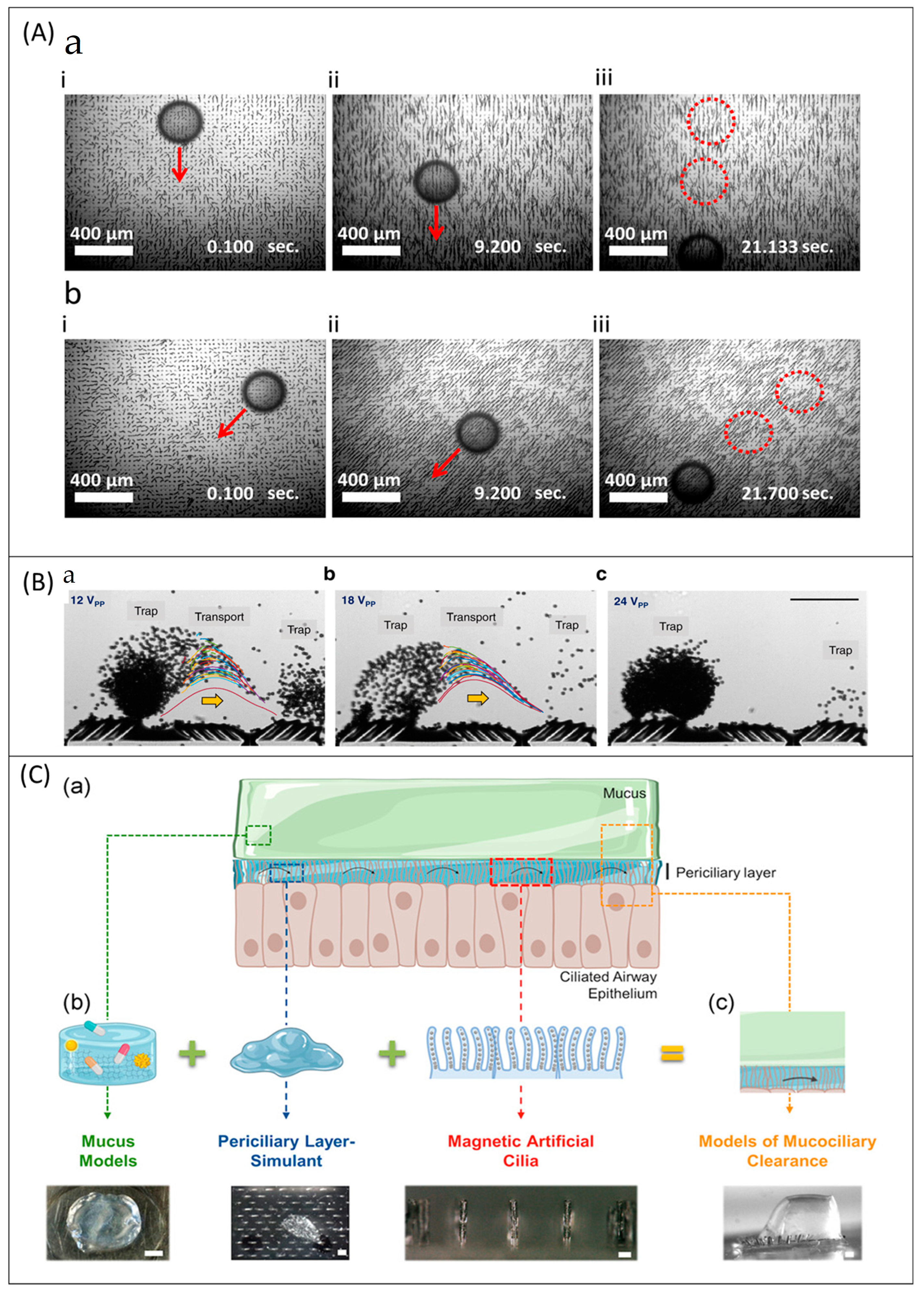 Micromachines 13 00735 g007