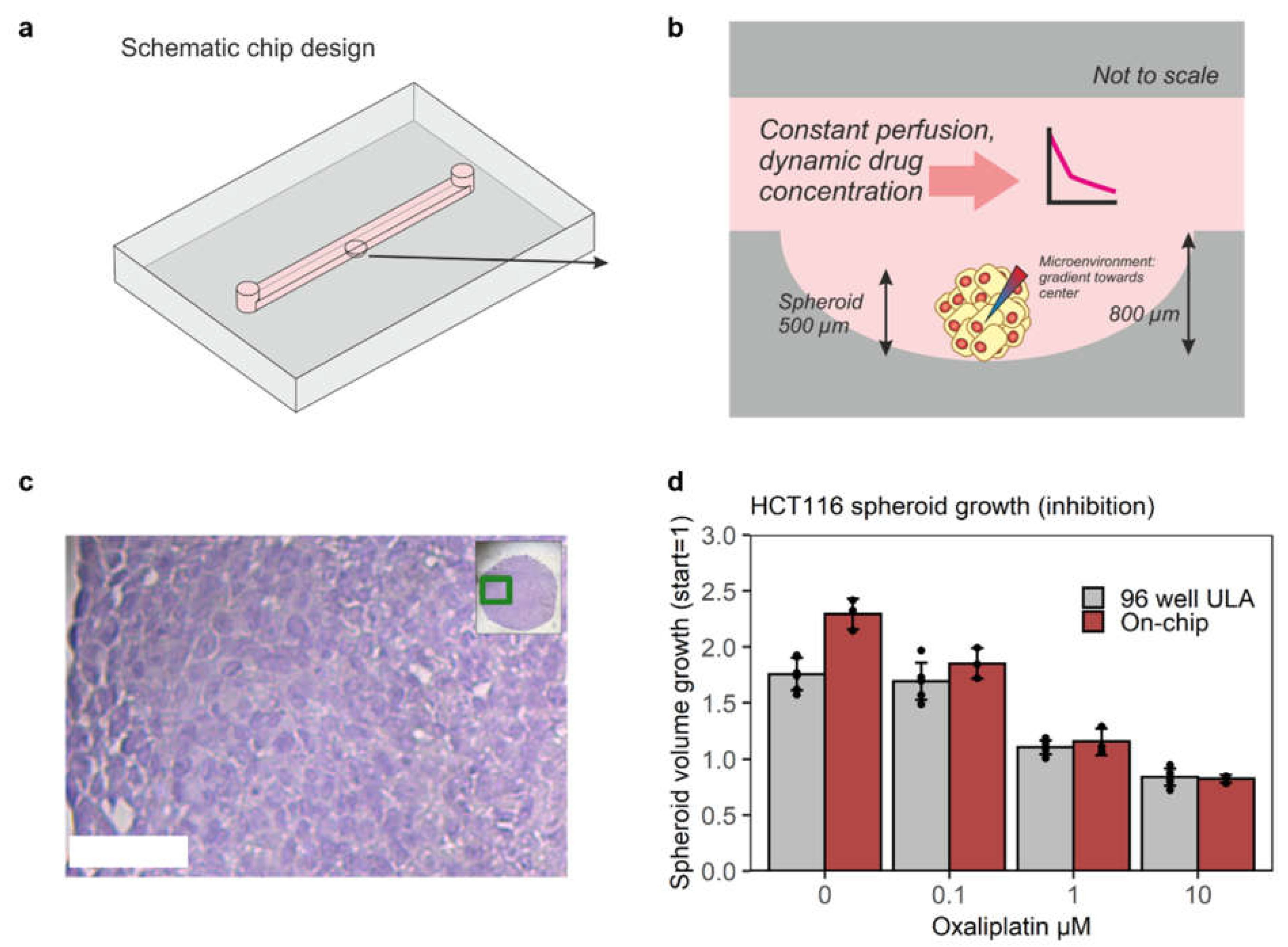 Micromachines 13 00739 g001