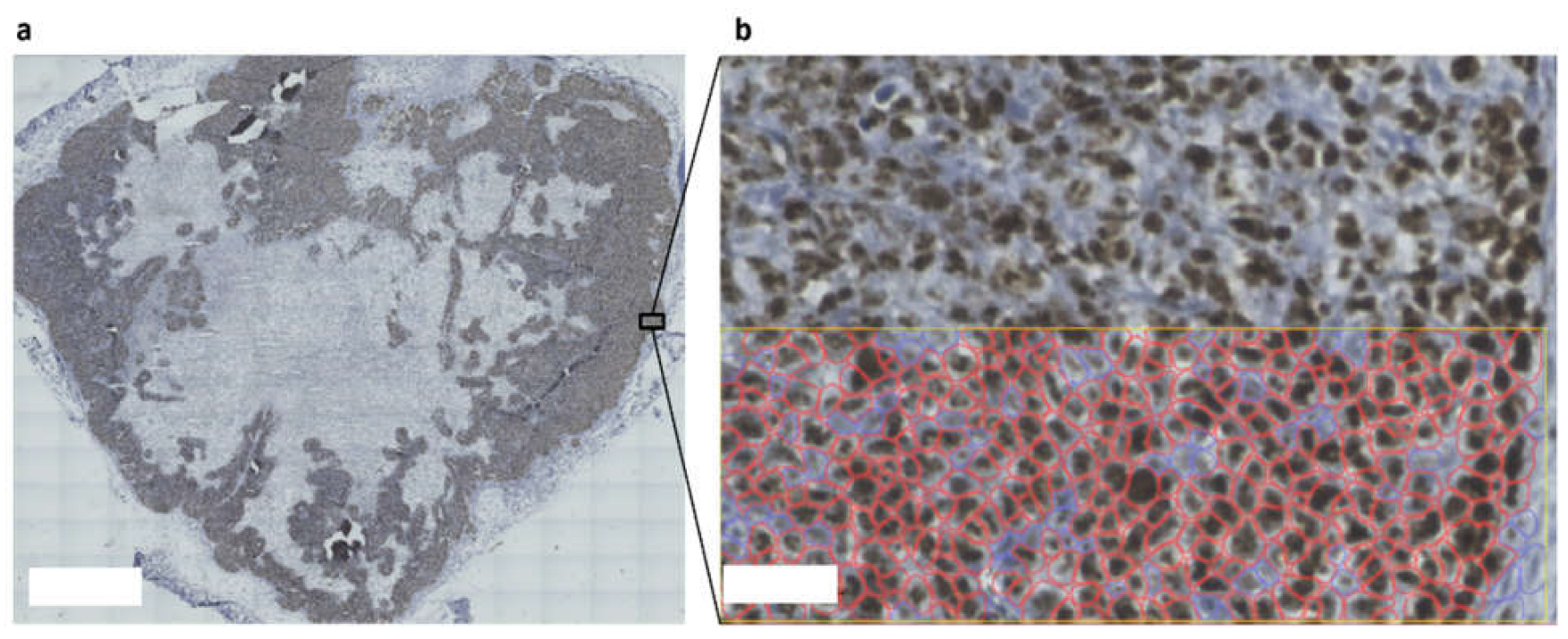 Micromachines 13 00739 g003