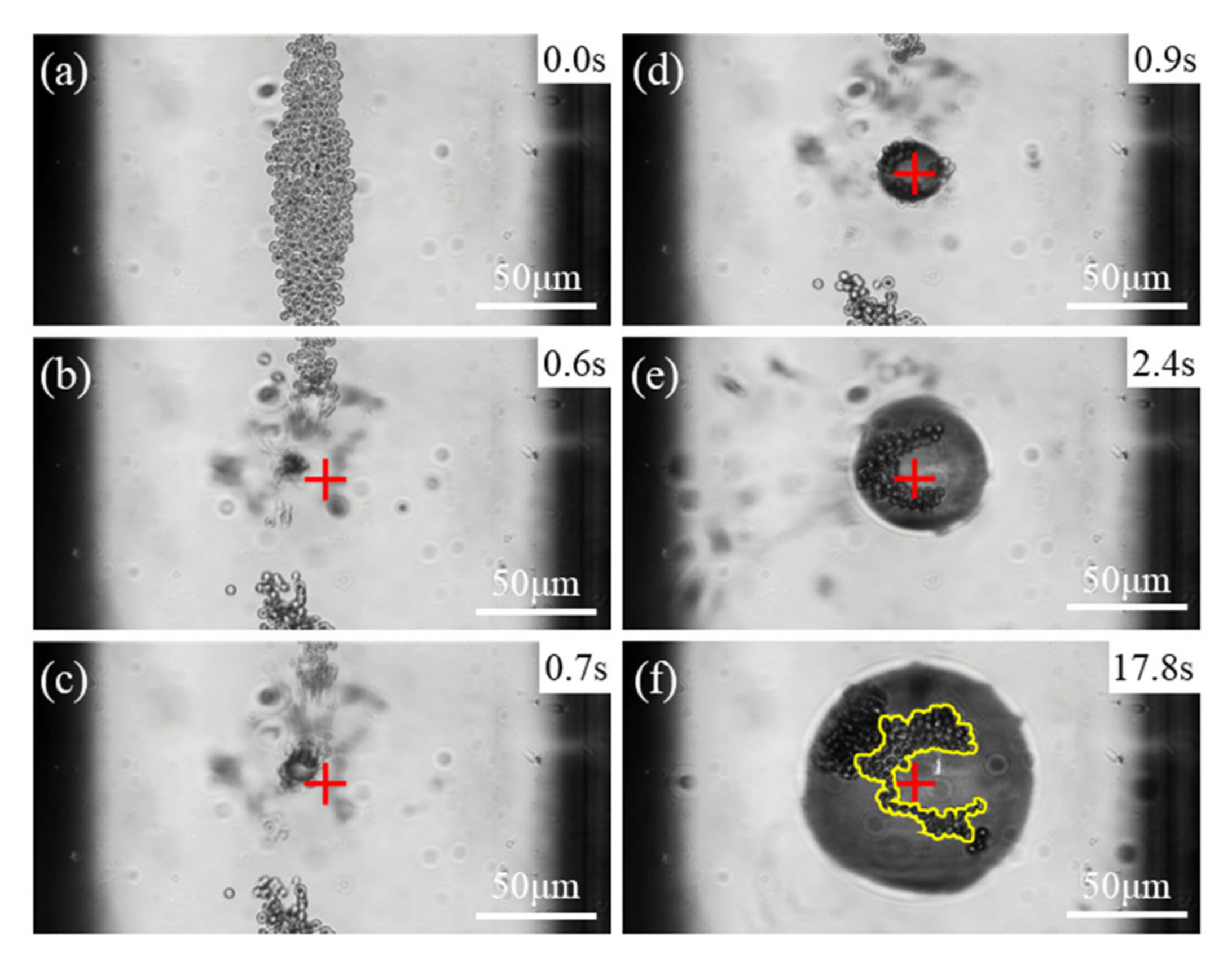 Micromachines 13 00740 g002
