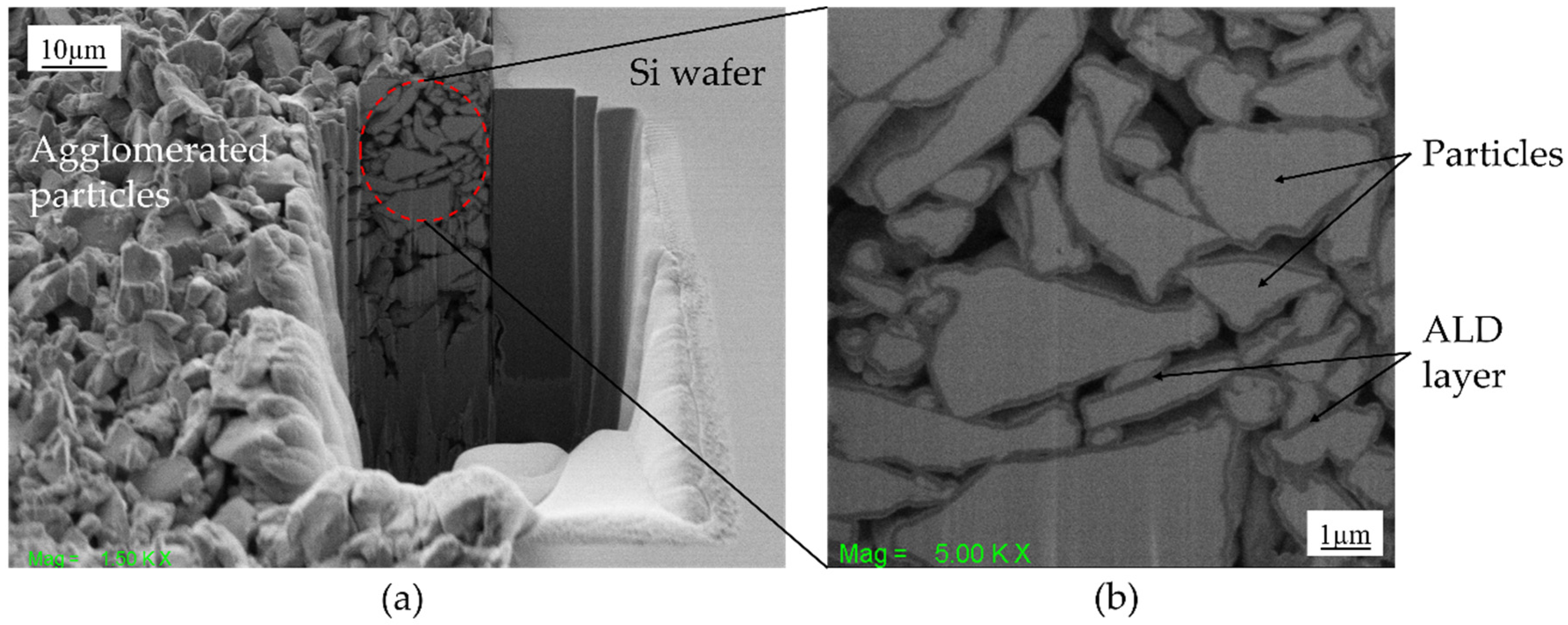Micromachines 13 00742 g001