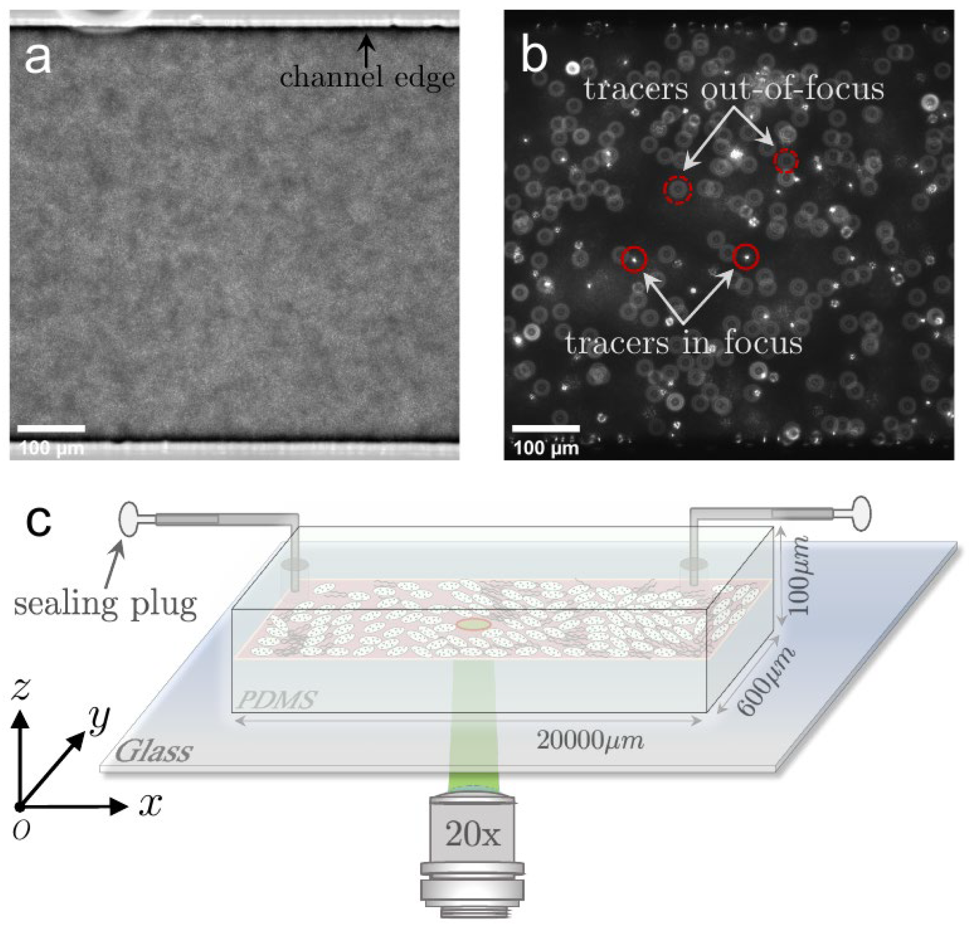 Micromachines 13 00746 g001