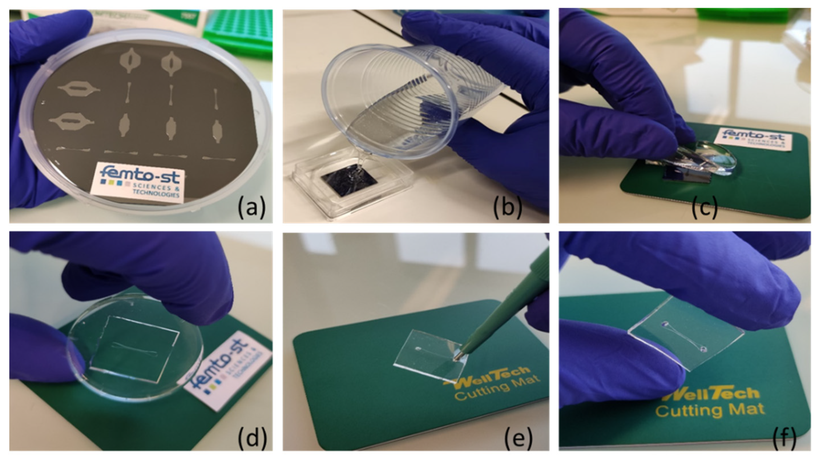 Micromachines 13 00755 g001
