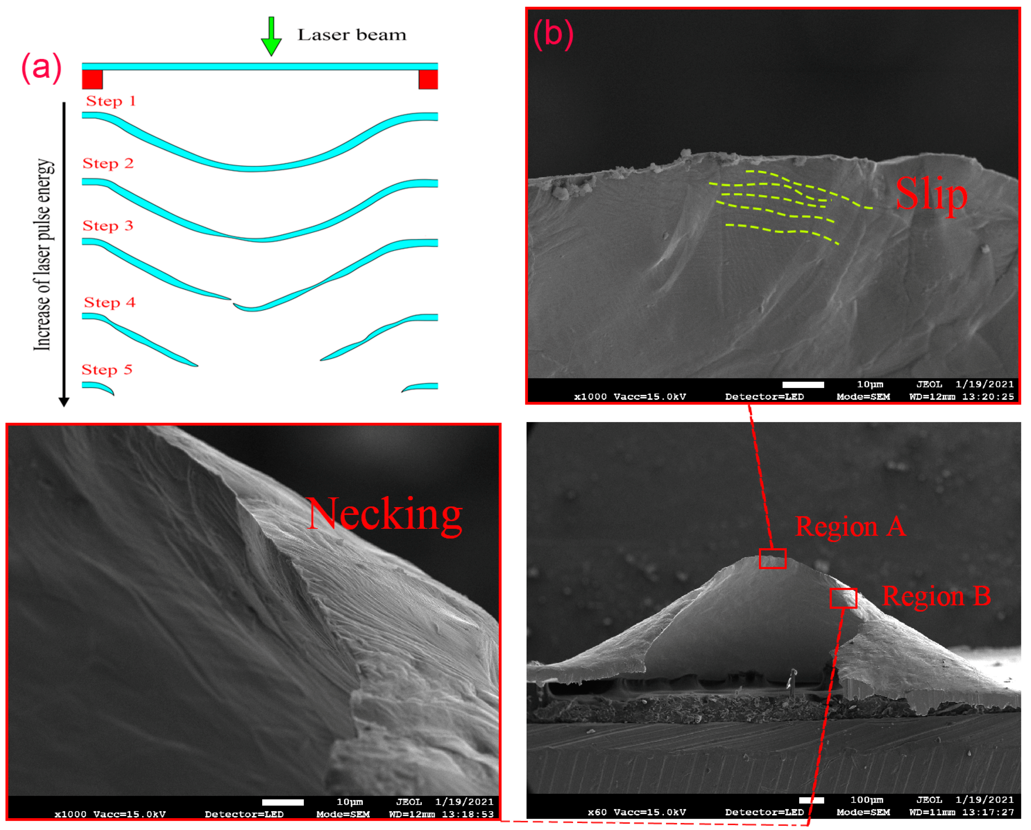 Micromachines 13 00757 g008