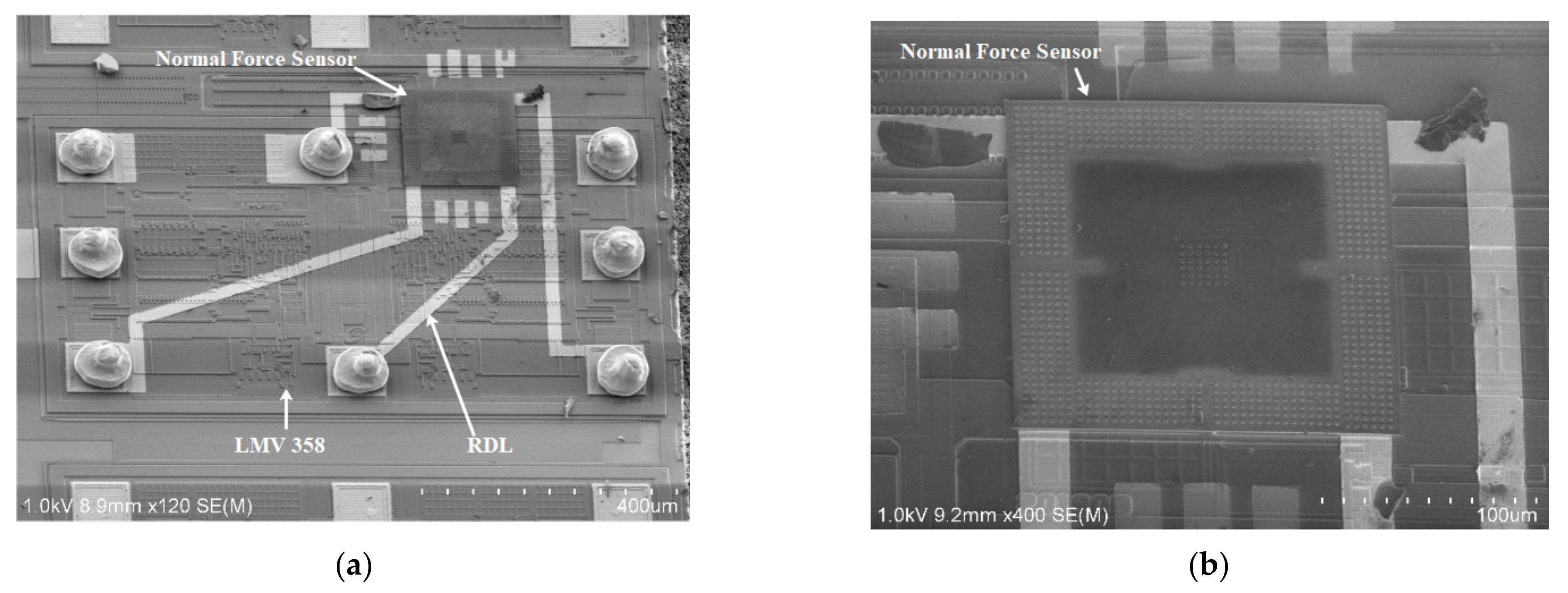 Micromachines 13 00759 g008