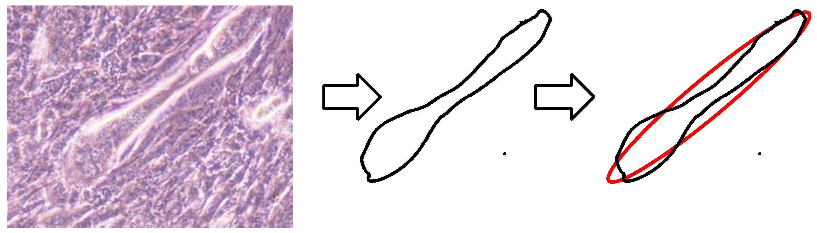 Micromachines 13 00760 g001