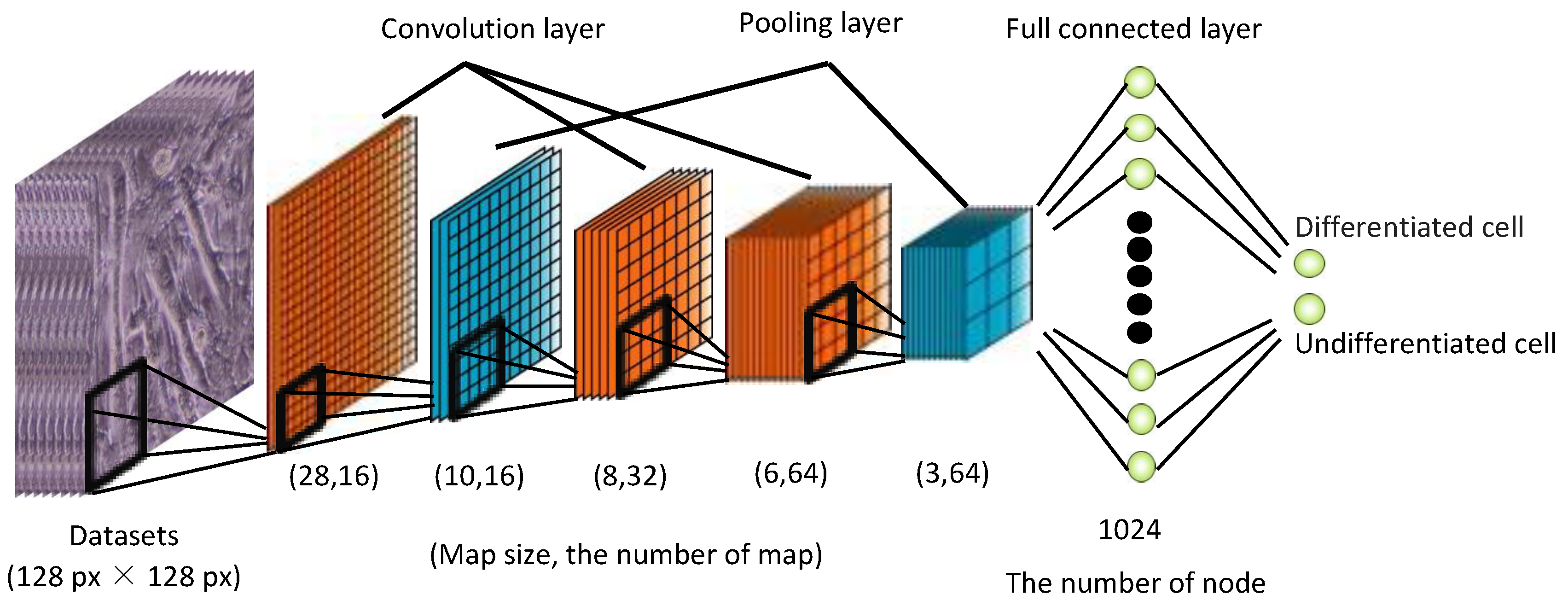 Micromachines 13 00760 g003