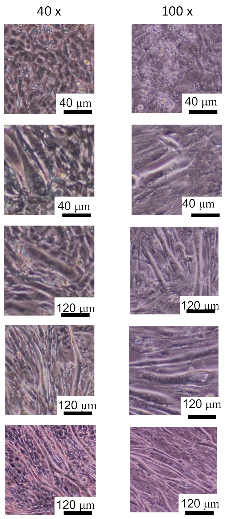 Micromachines 13 00760 g004