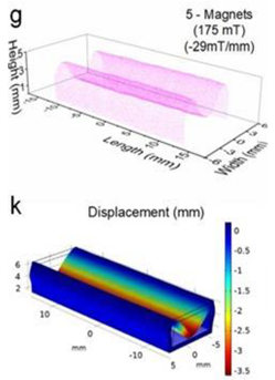 Micromachines 13 00764 i005