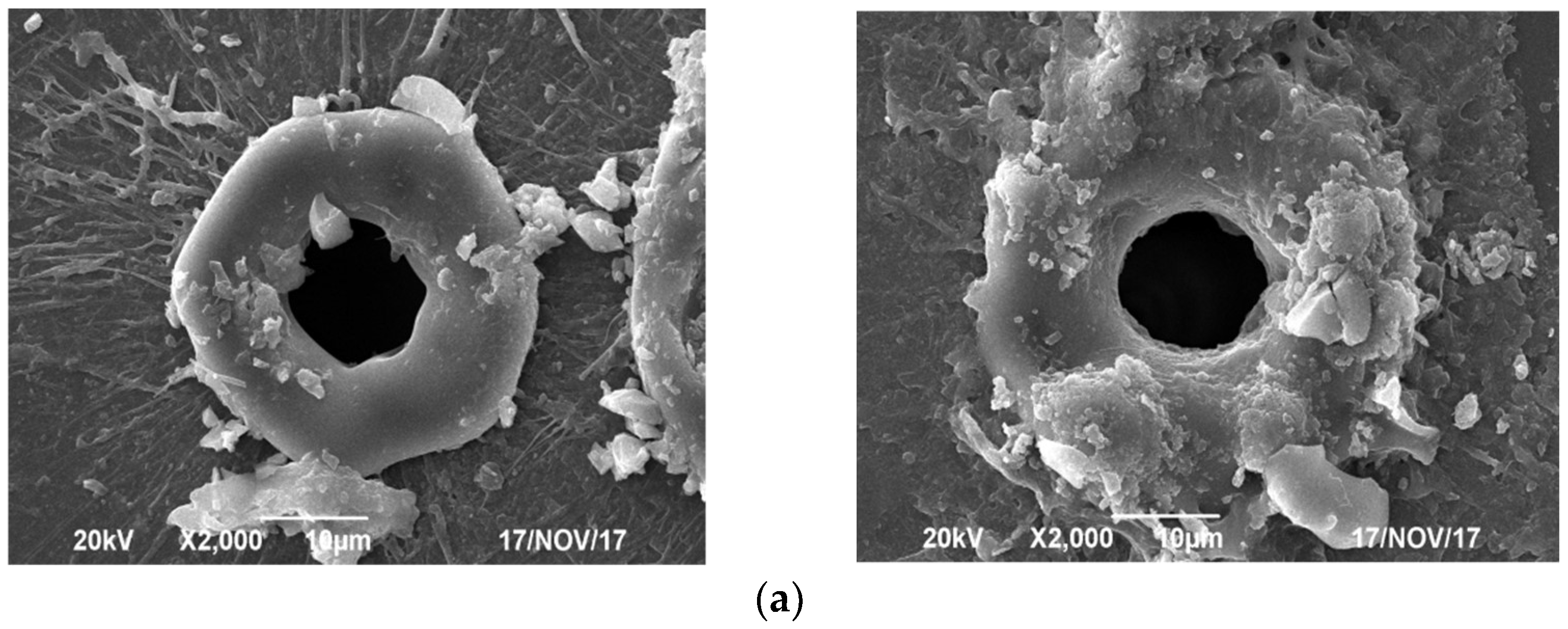 Micromachines 13 00765 g005a