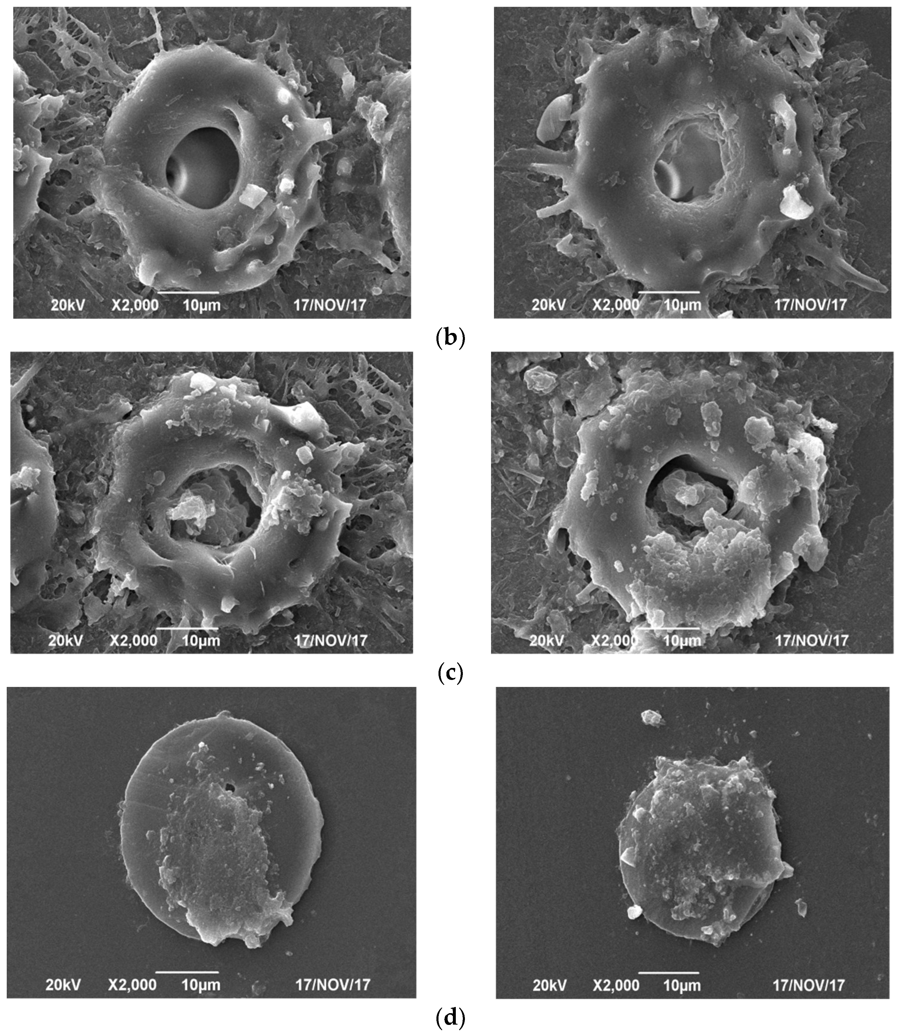 Micromachines 13 00765 g005b