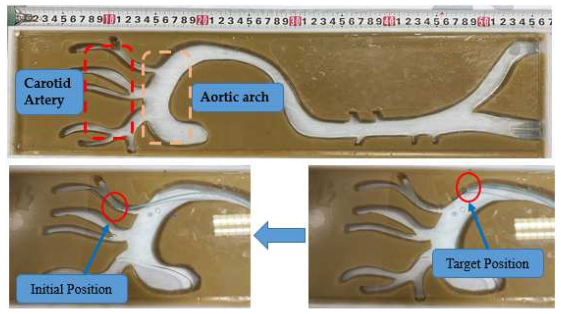 Micromachines 13 00770 g009