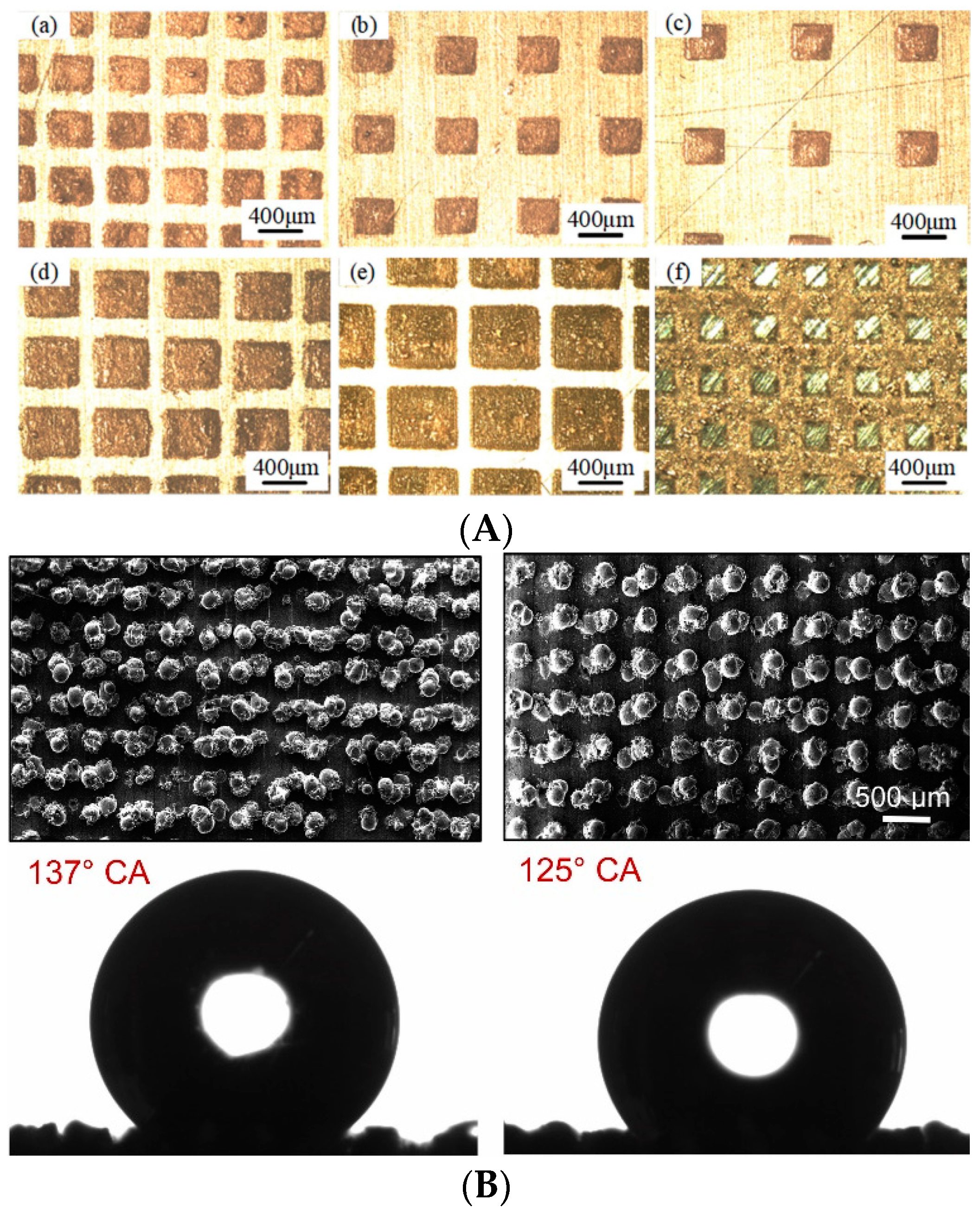Micromachines 13 00775 g005
